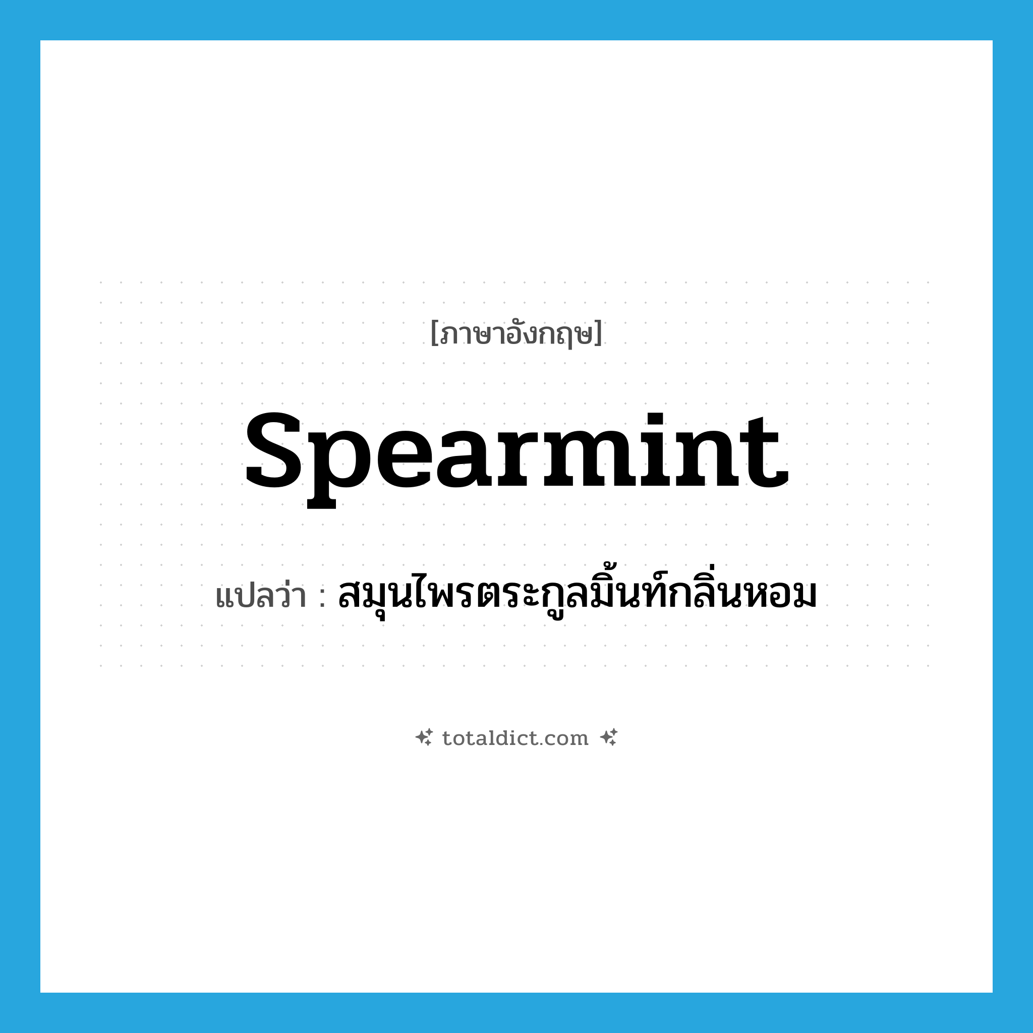 spearmint แปลว่า?, คำศัพท์ภาษาอังกฤษ spearmint แปลว่า สมุนไพรตระกูลมิ้นท์กลิ่นหอม ประเภท N หมวด N