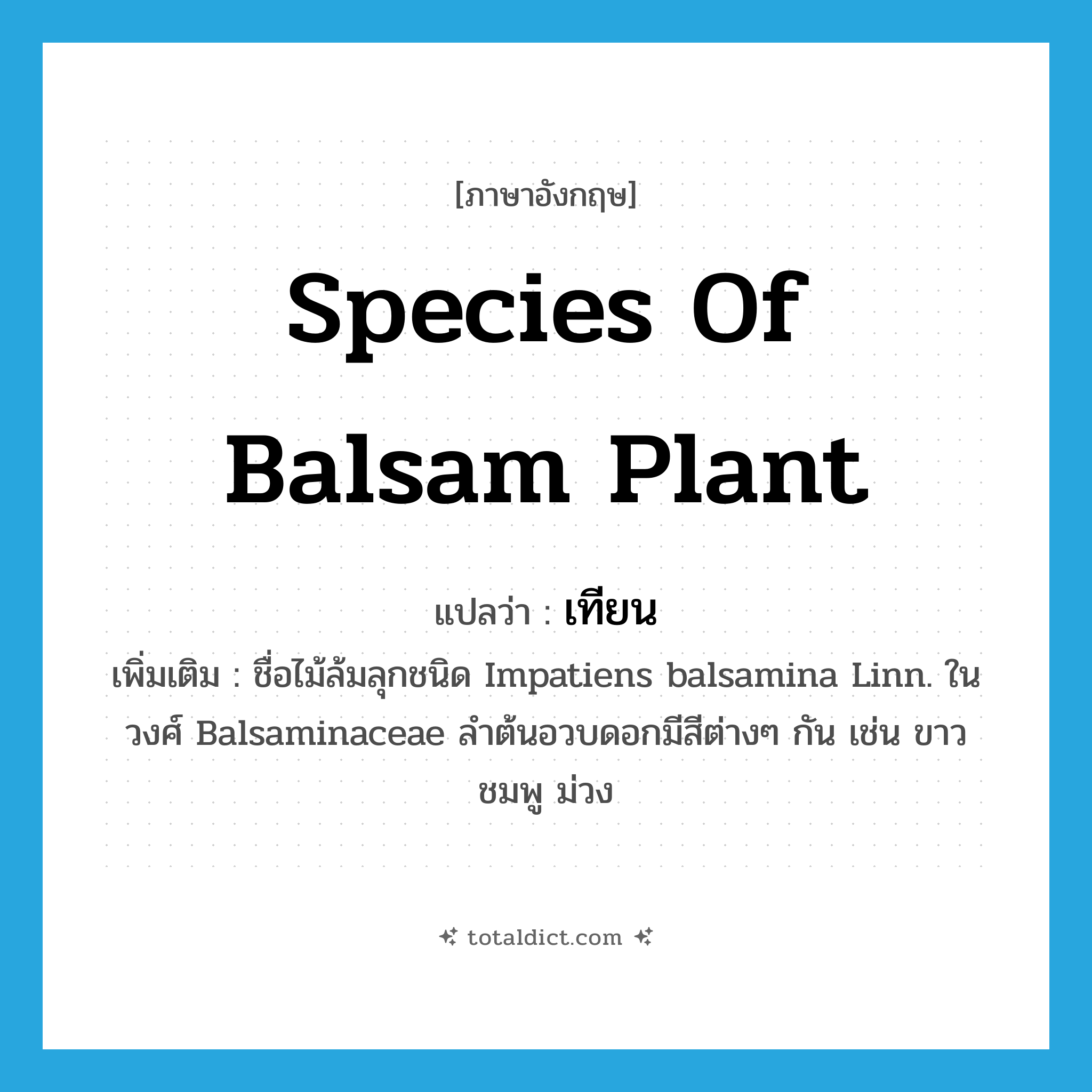 เทียน ภาษาอังกฤษ?, คำศัพท์ภาษาอังกฤษ เทียน แปลว่า species of balsam plant ประเภท N เพิ่มเติม ชื่อไม้ล้มลุกชนิด Impatiens balsamina Linn. ในวงศ์ Balsaminaceae ลำต้นอวบดอกมีสีต่างๆ กัน เช่น ขาว ชมพู ม่วง หมวด N