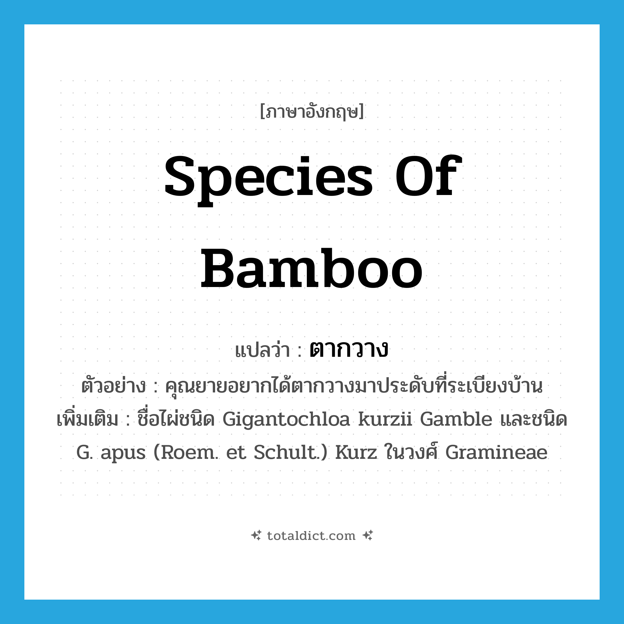 ตากวาง ภาษาอังกฤษ?, คำศัพท์ภาษาอังกฤษ ตากวาง แปลว่า species of bamboo ประเภท N ตัวอย่าง คุณยายอยากได้ตากวางมาประดับที่ระเบียงบ้าน เพิ่มเติม ชื่อไผ่ชนิด Gigantochloa kurzii Gamble และชนิด G. apus (Roem. et Schult.) Kurz ในวงศ์ Gramineae หมวด N