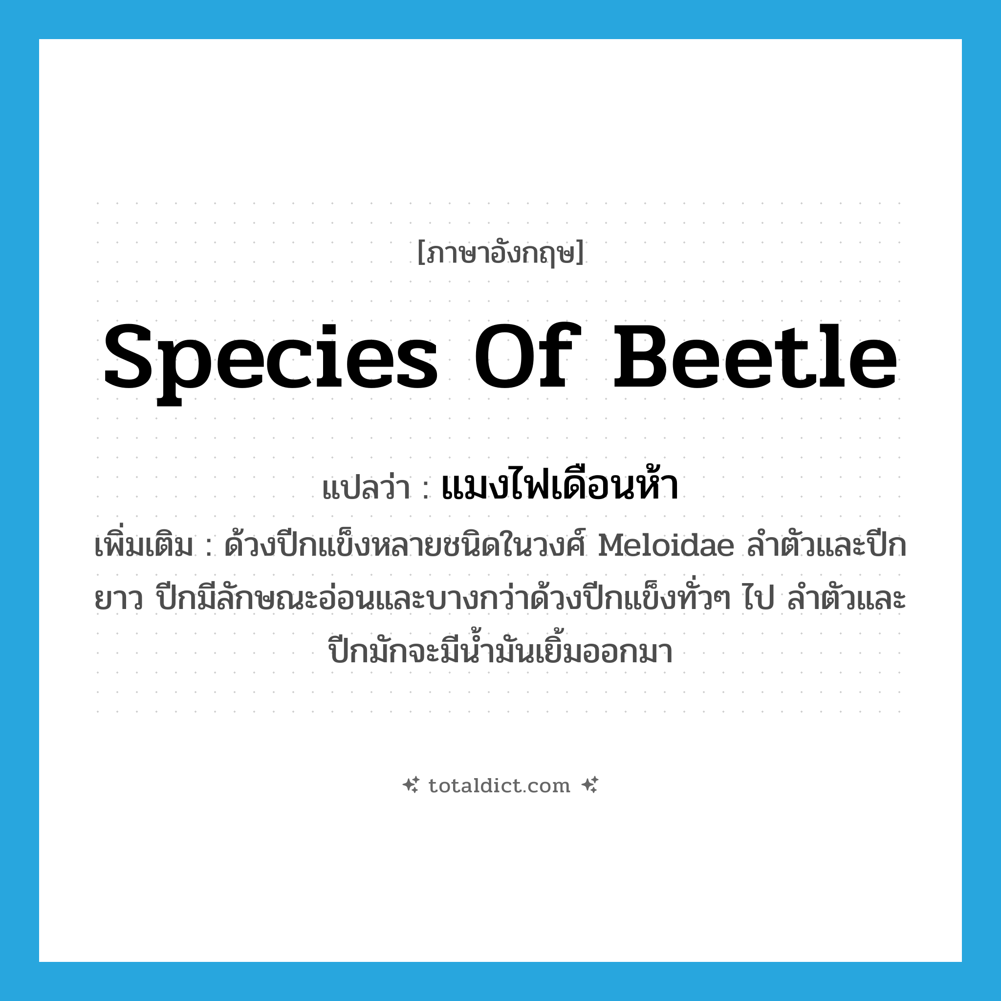 species of beetle แปลว่า?, คำศัพท์ภาษาอังกฤษ species of beetle แปลว่า แมงไฟเดือนห้า ประเภท N เพิ่มเติม ด้วงปีกแข็งหลายชนิดในวงศ์ Meloidae ลำตัวและปีกยาว ปีกมีลักษณะอ่อนและบางกว่าด้วงปีกแข็งทั่วๆ ไป ลำตัวและปีกมักจะมีน้ำมันเยิ้มออกมา หมวด N