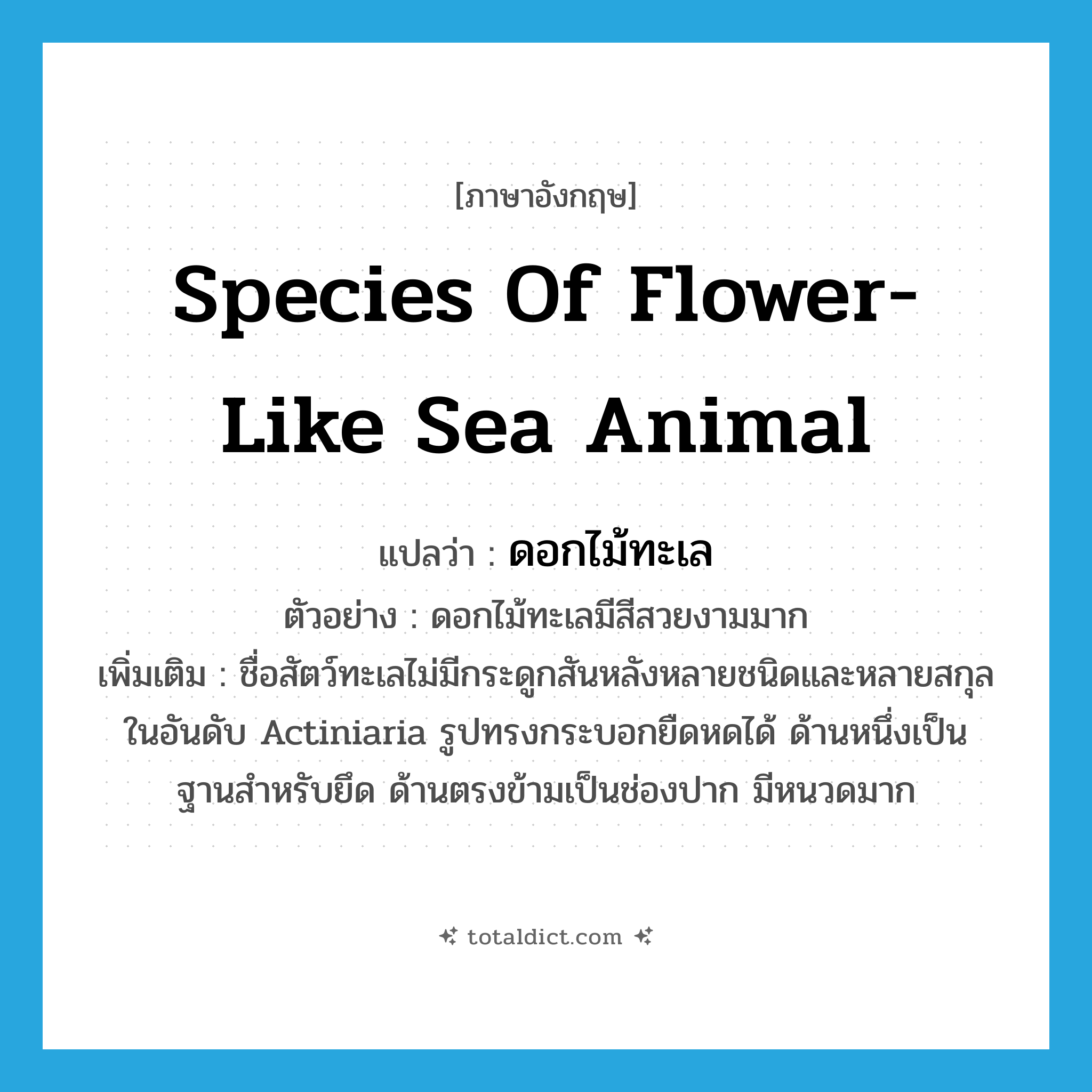 ดอกไม้ทะเล ภาษาอังกฤษ?, คำศัพท์ภาษาอังกฤษ ดอกไม้ทะเล แปลว่า species of flower-like sea animal ประเภท N ตัวอย่าง ดอกไม้ทะเลมีสีสวยงามมาก เพิ่มเติม ชื่อสัตว์ทะเลไม่มีกระดูกสันหลังหลายชนิดและหลายสกุล ในอันดับ Actiniaria รูปทรงกระบอกยืดหดได้ ด้านหนึ่งเป็นฐานสำหรับยึด ด้านตรงข้ามเป็นช่องปาก มีหนวดมาก หมวด N