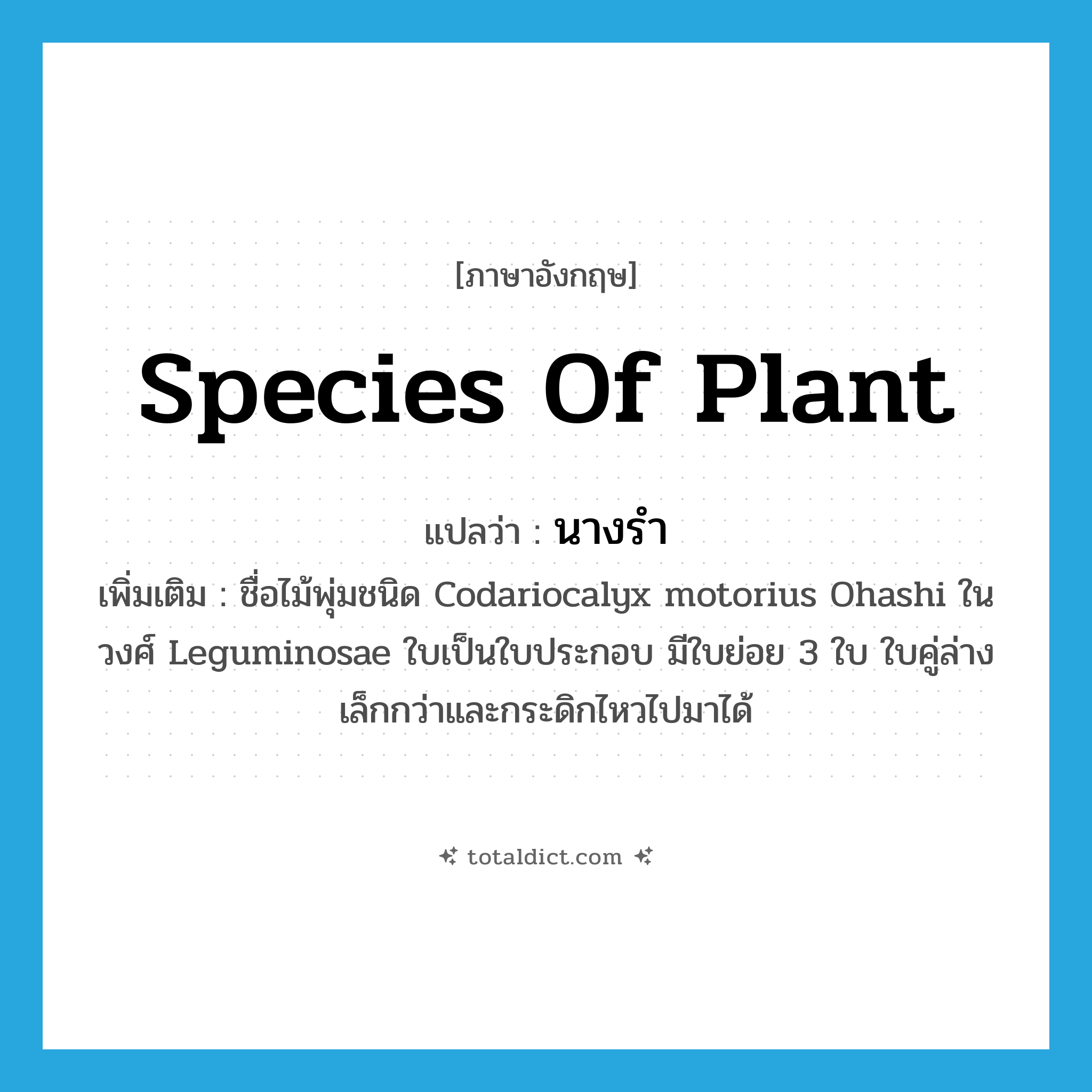 species of plant แปลว่า?, คำศัพท์ภาษาอังกฤษ species of plant แปลว่า นางรำ ประเภท N เพิ่มเติม ชื่อไม้พุ่มชนิด Codariocalyx motorius Ohashi ในวงศ์ Leguminosae ใบเป็นใบประกอบ มีใบย่อย 3 ใบ ใบคู่ล่างเล็กกว่าและกระดิกไหวไปมาได้ หมวด N