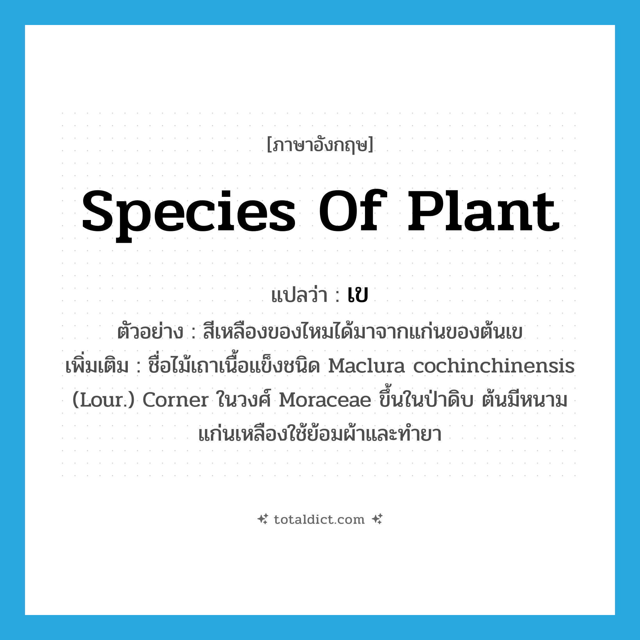 species of plant แปลว่า?, คำศัพท์ภาษาอังกฤษ species of plant แปลว่า เข ประเภท N ตัวอย่าง สีเหลืองของไหมได้มาจากแก่นของต้นเข เพิ่มเติม ชื่อไม้เถาเนื้อแข็งชนิด Maclura cochinchinensis (Lour.) Corner ในวงศ์ Moraceae ขึ้นในป่าดิบ ต้นมีหนาม แก่นเหลืองใช้ย้อมผ้าและทำยา หมวด N