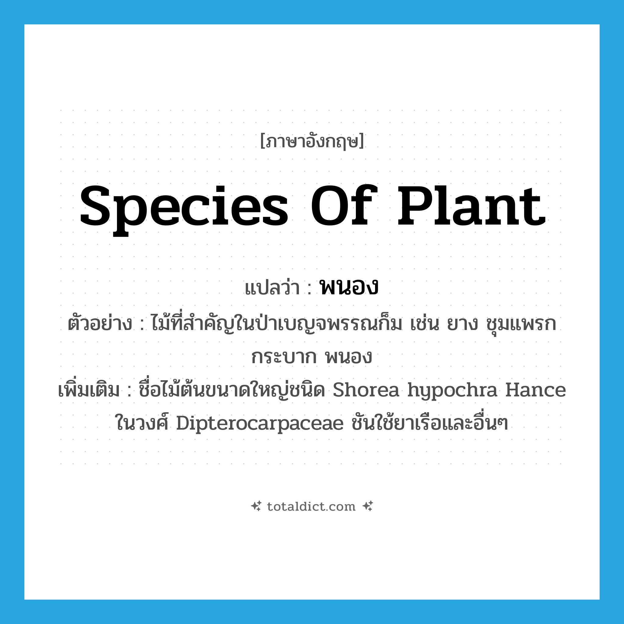 species of plant แปลว่า?, คำศัพท์ภาษาอังกฤษ species of plant แปลว่า พนอง ประเภท N ตัวอย่าง ไม้ที่สำคัญในป่าเบญจพรรณก็ม เช่น ยาง ชุมแพรก กระบาก พนอง เพิ่มเติม ชื่อไม้ต้นขนาดใหญ่ชนิด Shorea hypochra Hance ในวงศ์ Dipterocarpaceae ชันใช้ยาเรือและอื่นๆ หมวด N