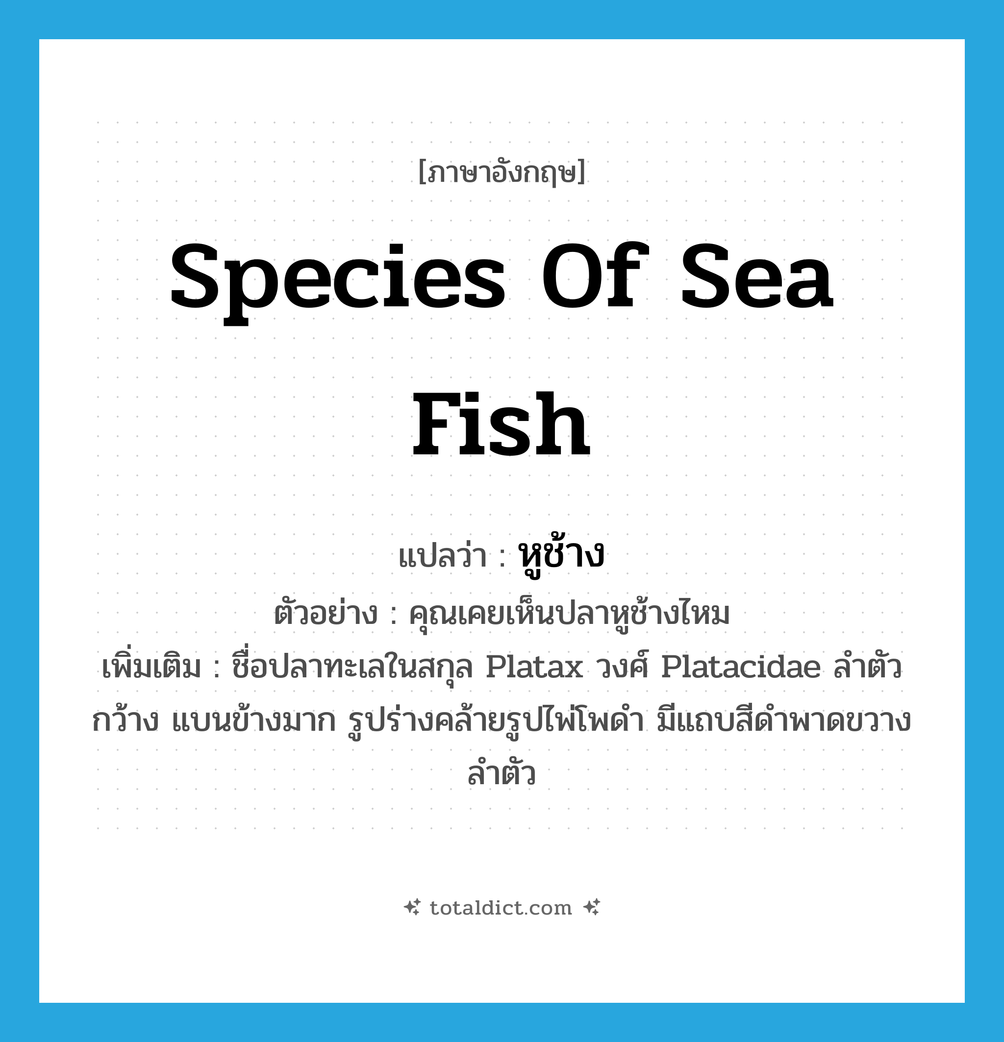 หูช้าง ภาษาอังกฤษ?, คำศัพท์ภาษาอังกฤษ หูช้าง แปลว่า species of sea fish ประเภท N ตัวอย่าง คุณเคยเห็นปลาหูช้างไหม เพิ่มเติม ชื่อปลาทะเลในสกุล Platax วงศ์ Platacidae ลำตัวกว้าง แบนข้างมาก รูปร่างคล้ายรูปไพ่โพดำ มีแถบสีดำพาดขวางลำตัว หมวด N