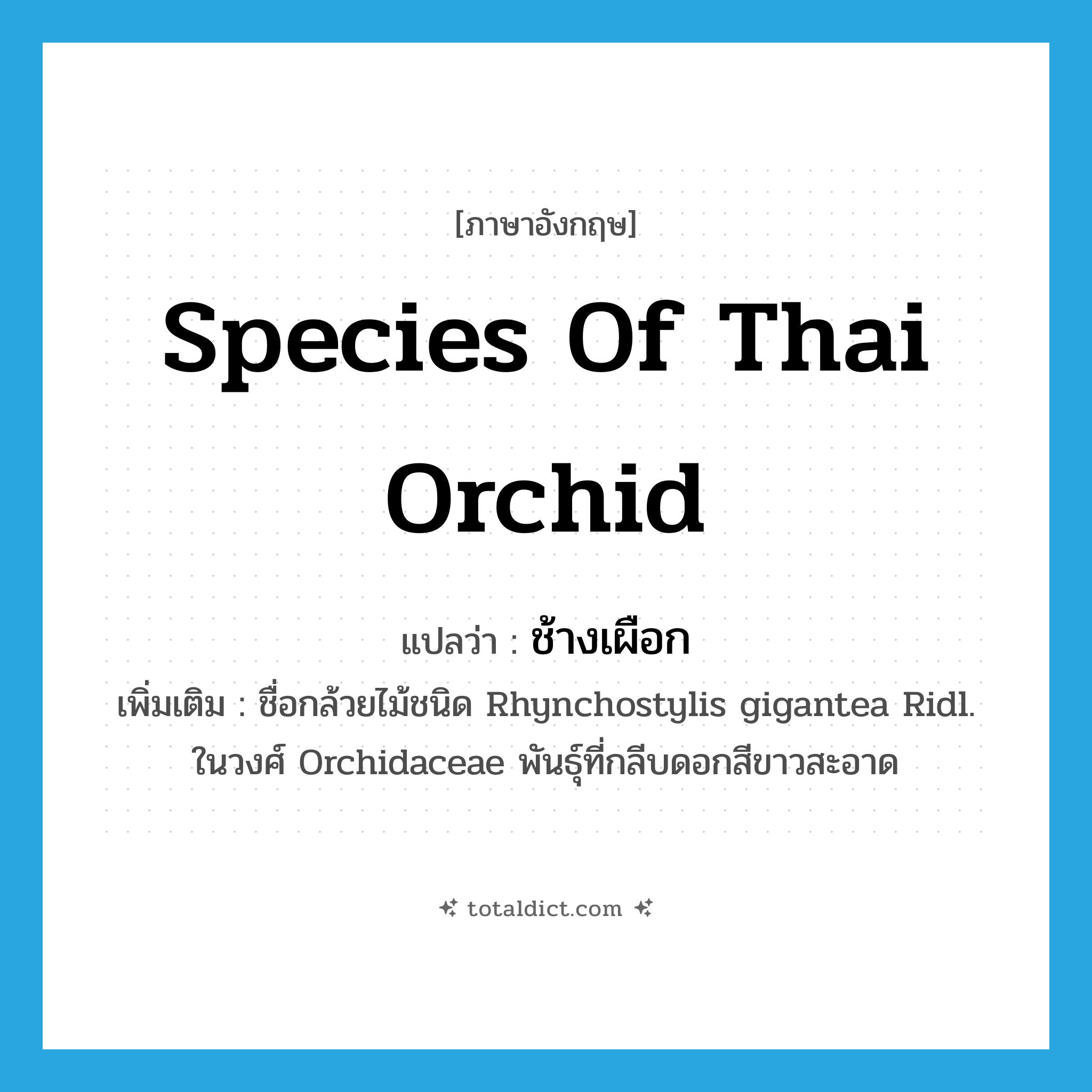 ช้างเผือก ภาษาอังกฤษ?, คำศัพท์ภาษาอังกฤษ ช้างเผือก แปลว่า species of Thai orchid ประเภท N เพิ่มเติม ชื่อกล้วยไม้ชนิด Rhynchostylis gigantea Ridl. ในวงศ์ Orchidaceae พันธุ์ที่กลีบดอกสีขาวสะอาด หมวด N