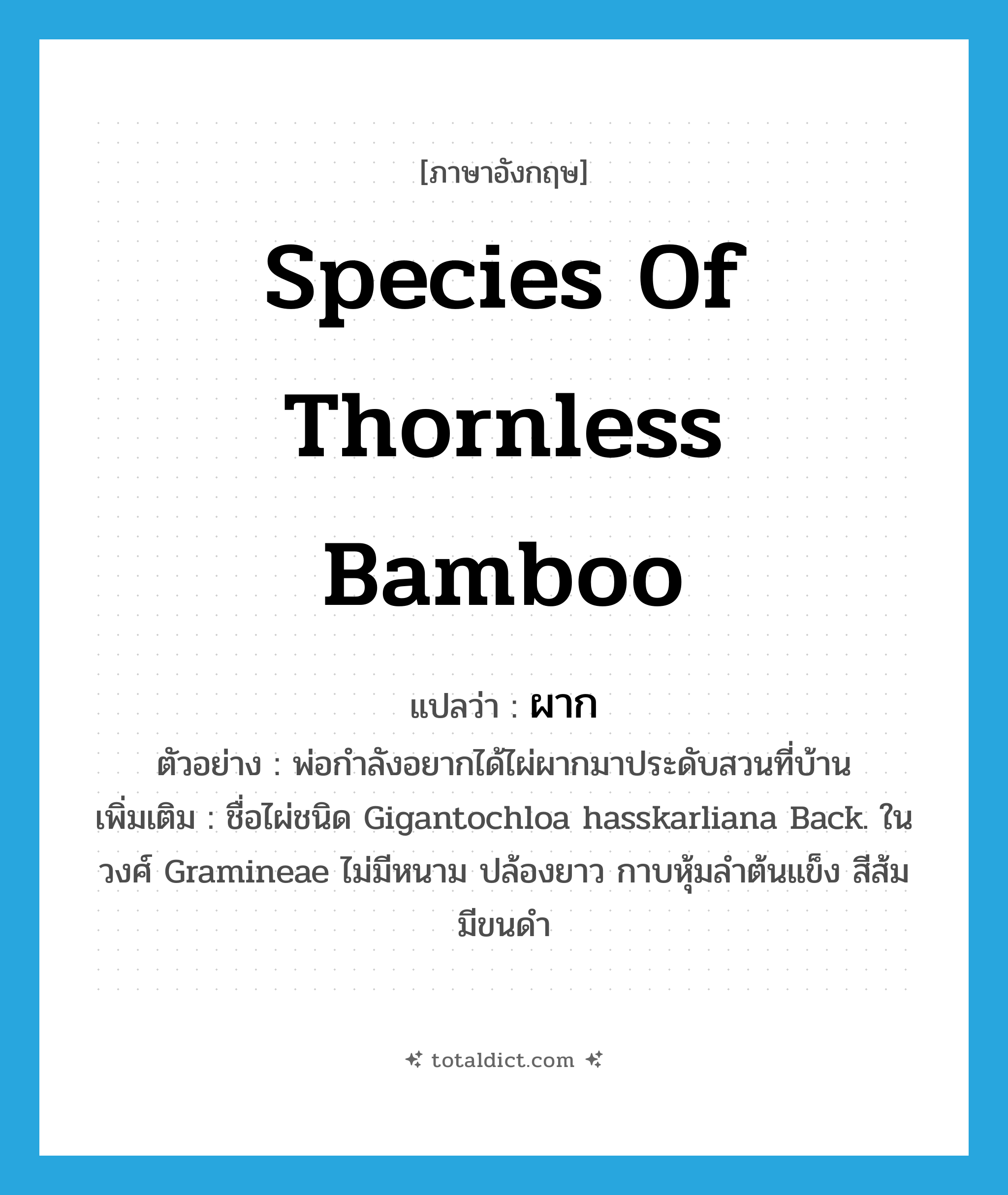 species of thornless bamboo แปลว่า?, คำศัพท์ภาษาอังกฤษ species of thornless bamboo แปลว่า ผาก ประเภท N ตัวอย่าง พ่อกำลังอยากได้ไผ่ผากมาประดับสวนที่บ้าน เพิ่มเติม ชื่อไผ่ชนิด Gigantochloa hasskarliana Back. ในวงศ์ Gramineae ไม่มีหนาม ปล้องยาว กาบหุ้มลําต้นแข็ง สีส้ม มีขนดํา หมวด N