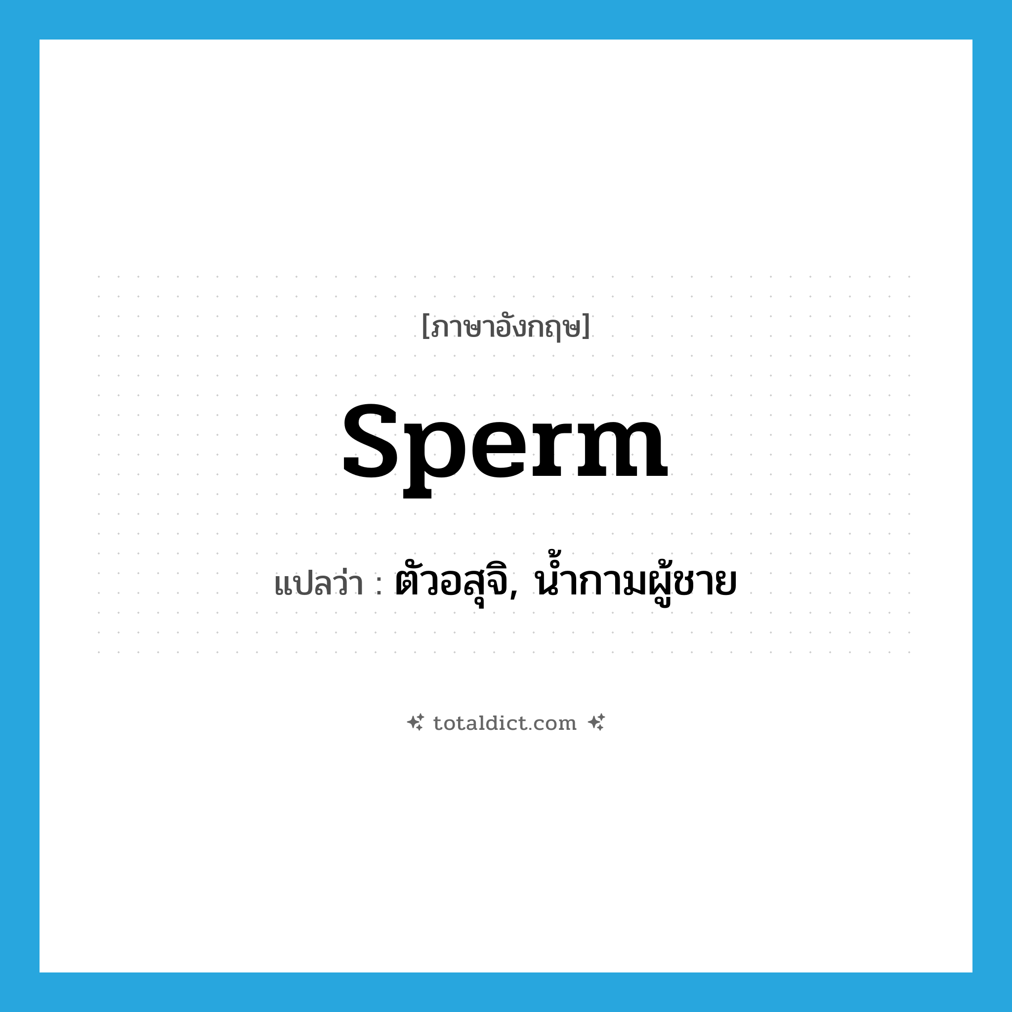 sperm แปลว่า?, คำศัพท์ภาษาอังกฤษ sperm แปลว่า ตัวอสุจิ, น้ำกามผู้ชาย ประเภท N หมวด N
