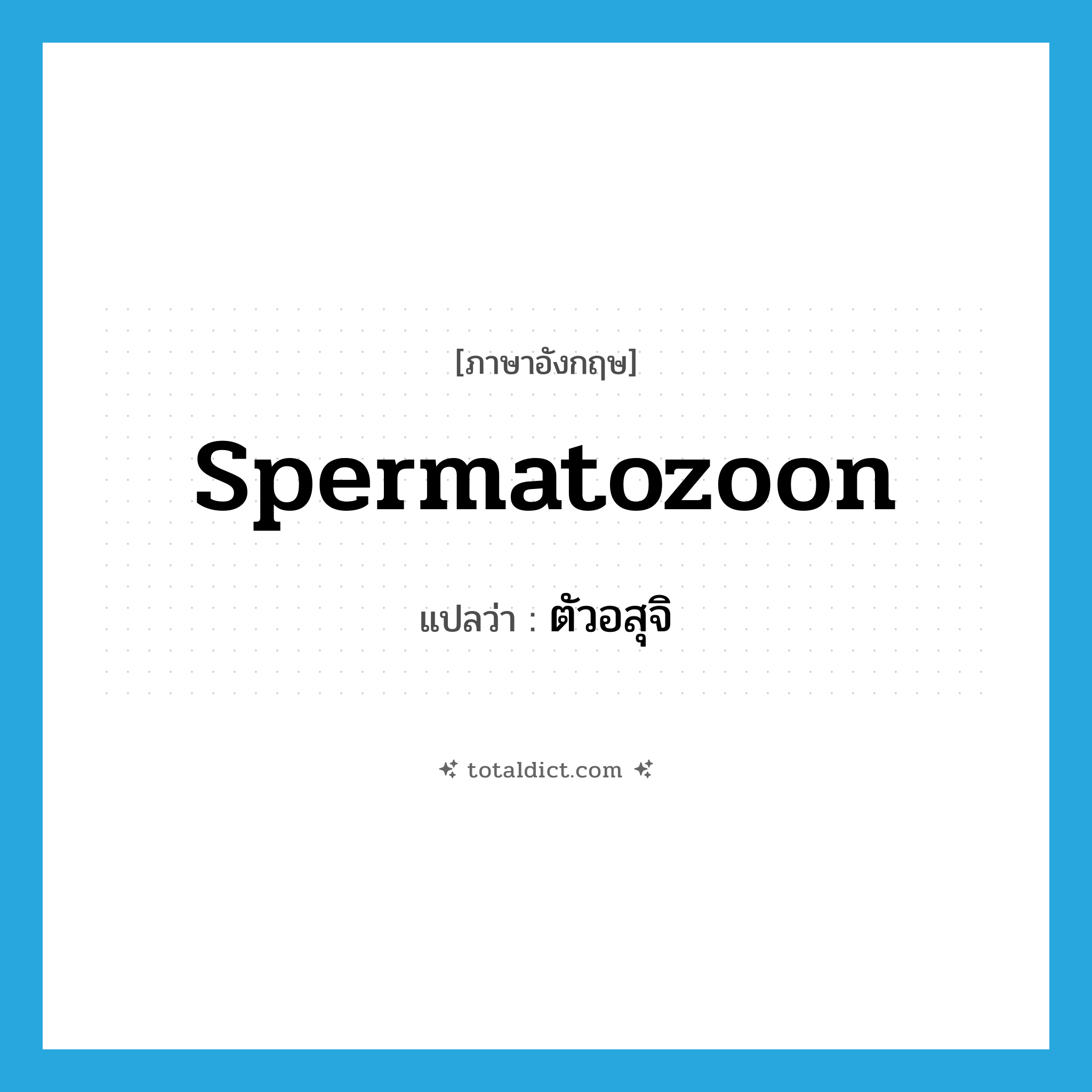 spermatozoon แปลว่า?, คำศัพท์ภาษาอังกฤษ spermatozoon แปลว่า ตัวอสุจิ ประเภท N หมวด N