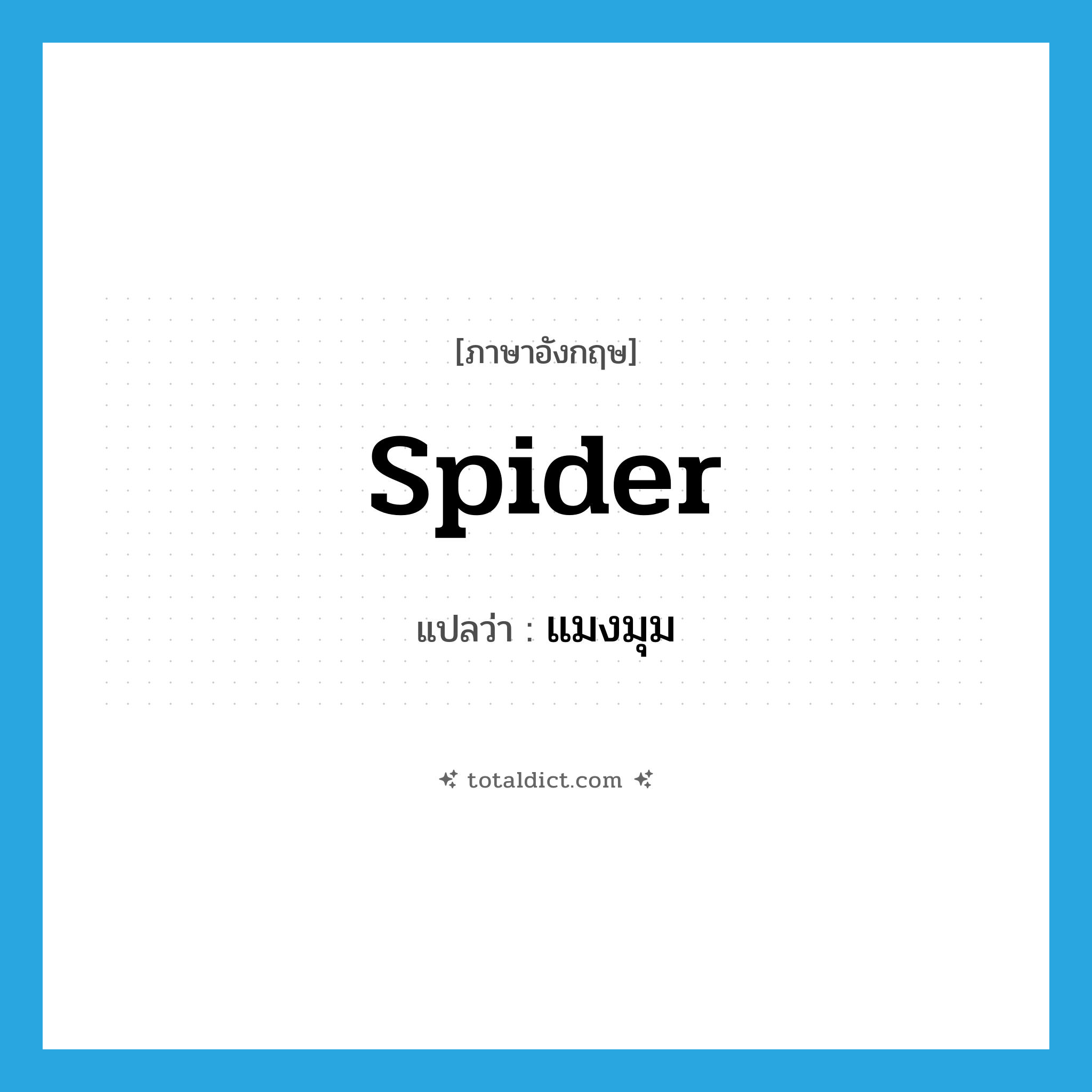 spider แปลว่า?, คำศัพท์ภาษาอังกฤษ spider แปลว่า แมงมุม ประเภท N หมวด N