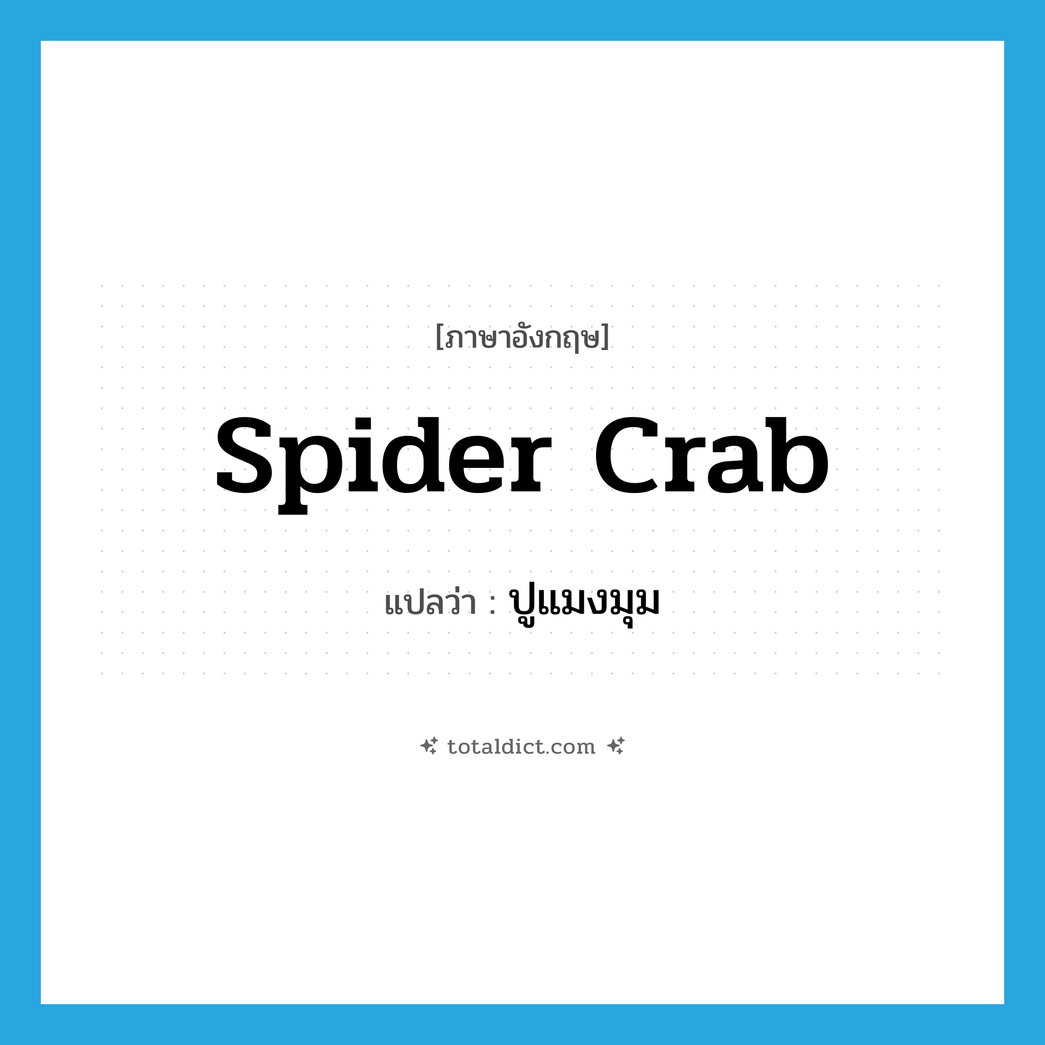 spider crab แปลว่า?, คำศัพท์ภาษาอังกฤษ spider crab แปลว่า ปูแมงมุม ประเภท N หมวด N