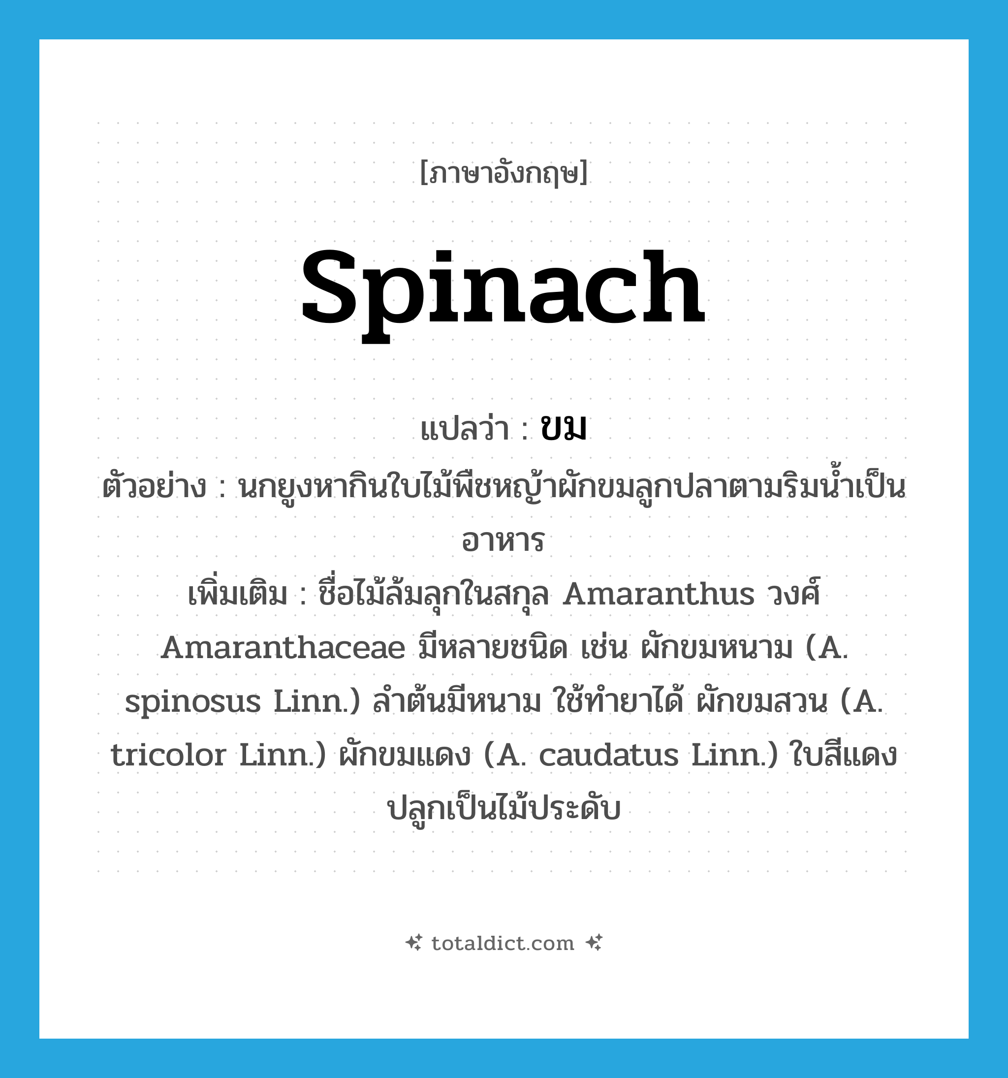 spinach แปลว่า?, คำศัพท์ภาษาอังกฤษ spinach แปลว่า ขม ประเภท N ตัวอย่าง นกยูงหากินใบไม้พืชหญ้าผักขมลูกปลาตามริมน้ำเป็นอาหาร เพิ่มเติม ชื่อไม้ล้มลุกในสกุล Amaranthus วงศ์ Amaranthaceae มีหลายชนิด เช่น ผักขมหนาม (A. spinosus Linn.) ลำต้นมีหนาม ใช้ทำยาได้ ผักขมสวน (A. tricolor Linn.) ผักขมแดง (A. caudatus Linn.) ใบสีแดง ปลูกเป็นไม้ประดับ หมวด N