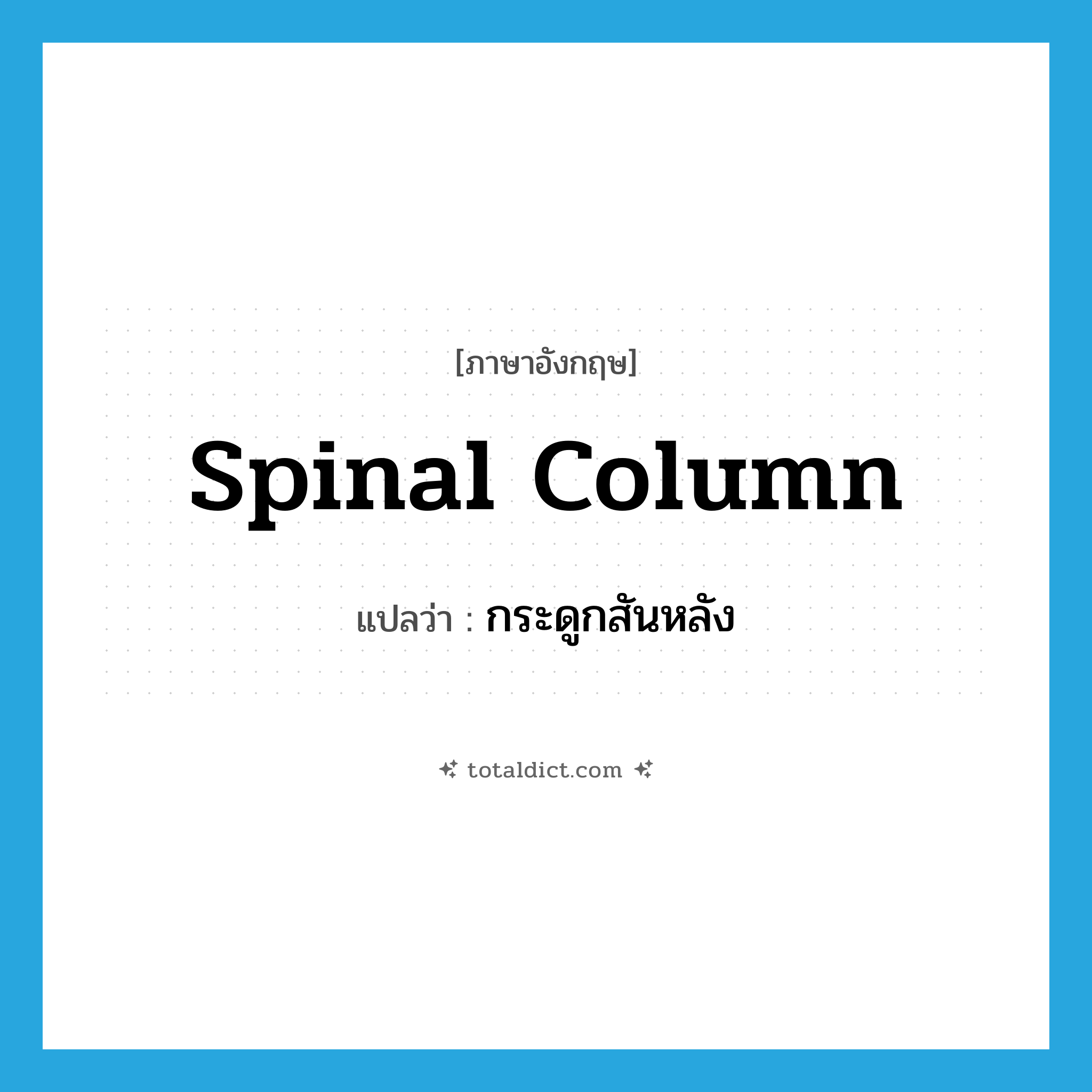 spinal column แปลว่า?, คำศัพท์ภาษาอังกฤษ spinal column แปลว่า กระดูกสันหลัง ประเภท N หมวด N