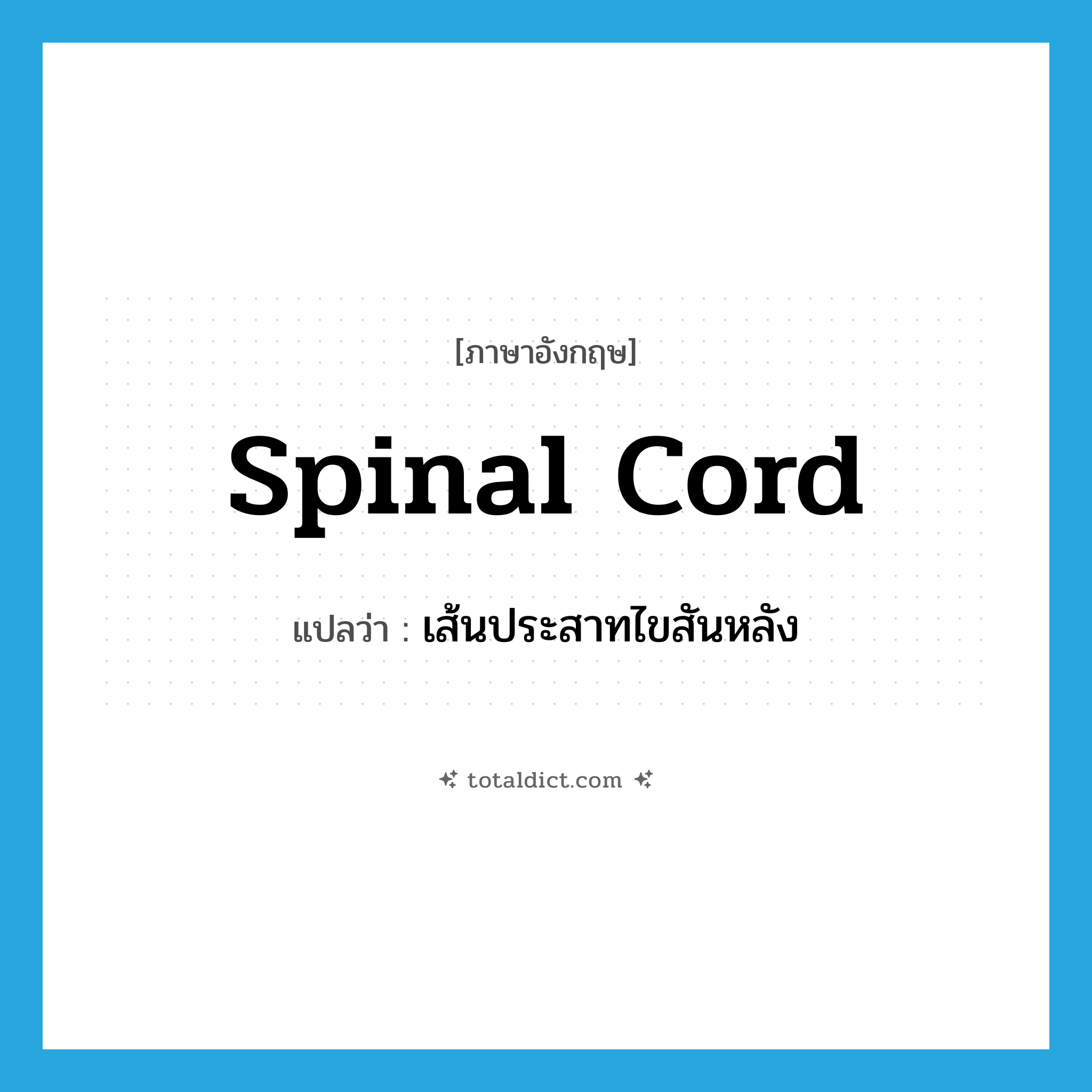 spinal cord แปลว่า?, คำศัพท์ภาษาอังกฤษ spinal cord แปลว่า เส้นประสาทไขสันหลัง ประเภท N หมวด N