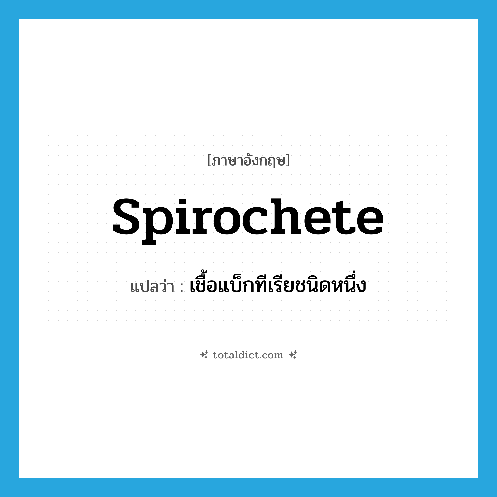 spirochete แปลว่า?, คำศัพท์ภาษาอังกฤษ spirochete แปลว่า เชื้อแบ็กทีเรียชนิดหนึ่ง ประเภท N หมวด N