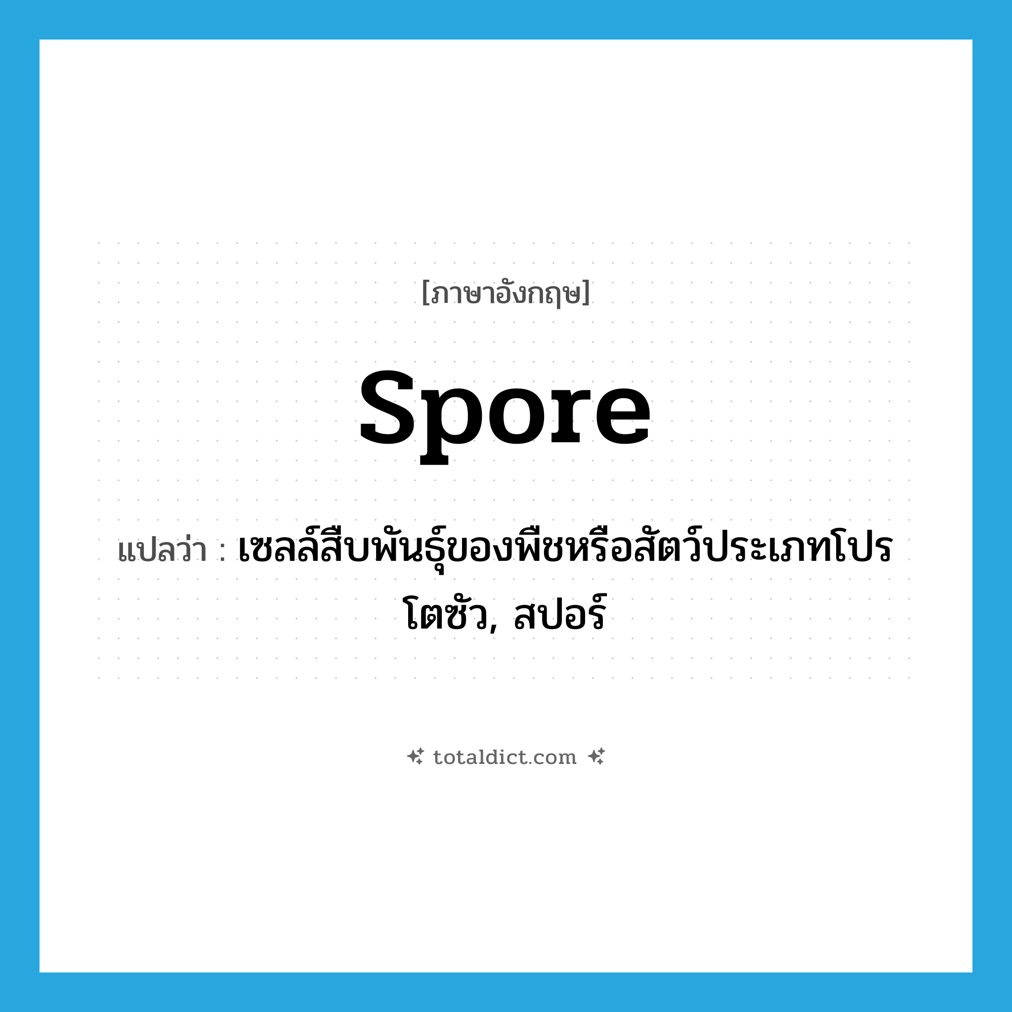 spore แปลว่า?, คำศัพท์ภาษาอังกฤษ spore แปลว่า เซลล์สืบพันธุ์ของพืชหรือสัตว์ประเภทโปรโตซัว, สปอร์ ประเภท N หมวด N