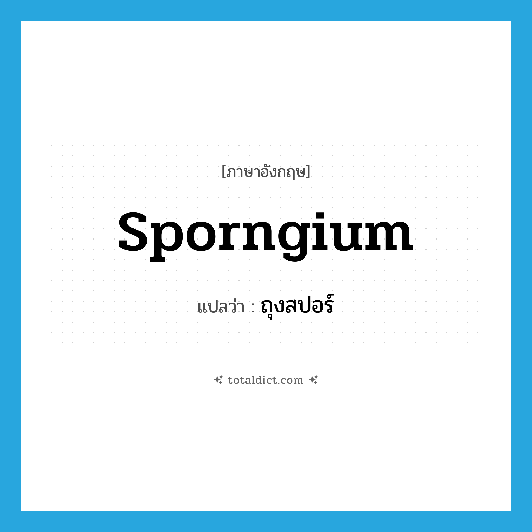 sporngium แปลว่า?, คำศัพท์ภาษาอังกฤษ sporngium แปลว่า ถุงสปอร์ ประเภท N หมวด N