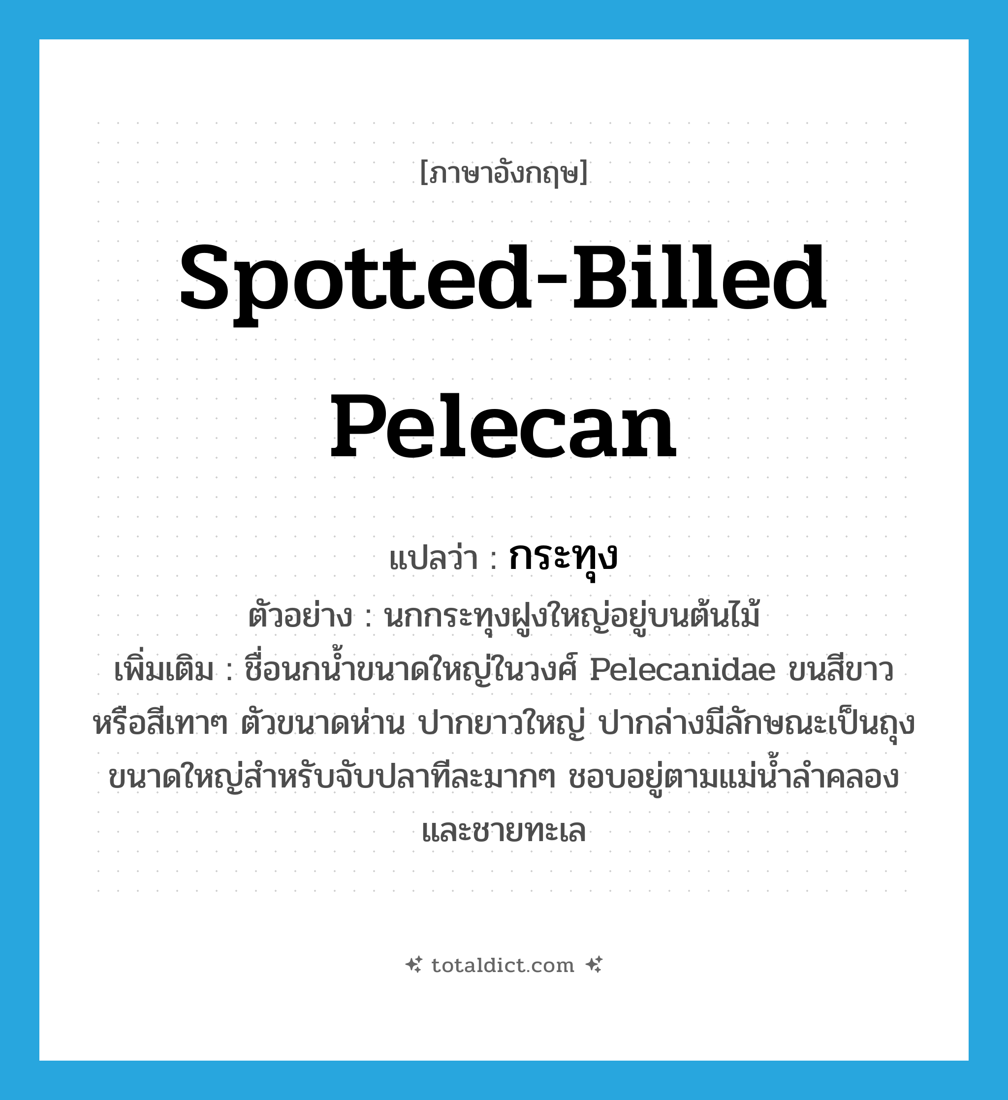 Spotted-billed Pelecan แปลว่า?, คำศัพท์ภาษาอังกฤษ Spotted-billed Pelecan แปลว่า กระทุง ประเภท N ตัวอย่าง นกกระทุงฝูงใหญ่อยู่บนต้นไม้ เพิ่มเติม ชื่อนกน้ำขนาดใหญ่ในวงศ์ Pelecanidae ขนสีขาวหรือสีเทาๆ ตัวขนาดห่าน ปากยาวใหญ่ ปากล่างมีลักษณะเป็นถุงขนาดใหญ่สำหรับจับปลาทีละมากๆ ชอบอยู่ตามแม่น้ำลำคลองและชายทะเล หมวด N