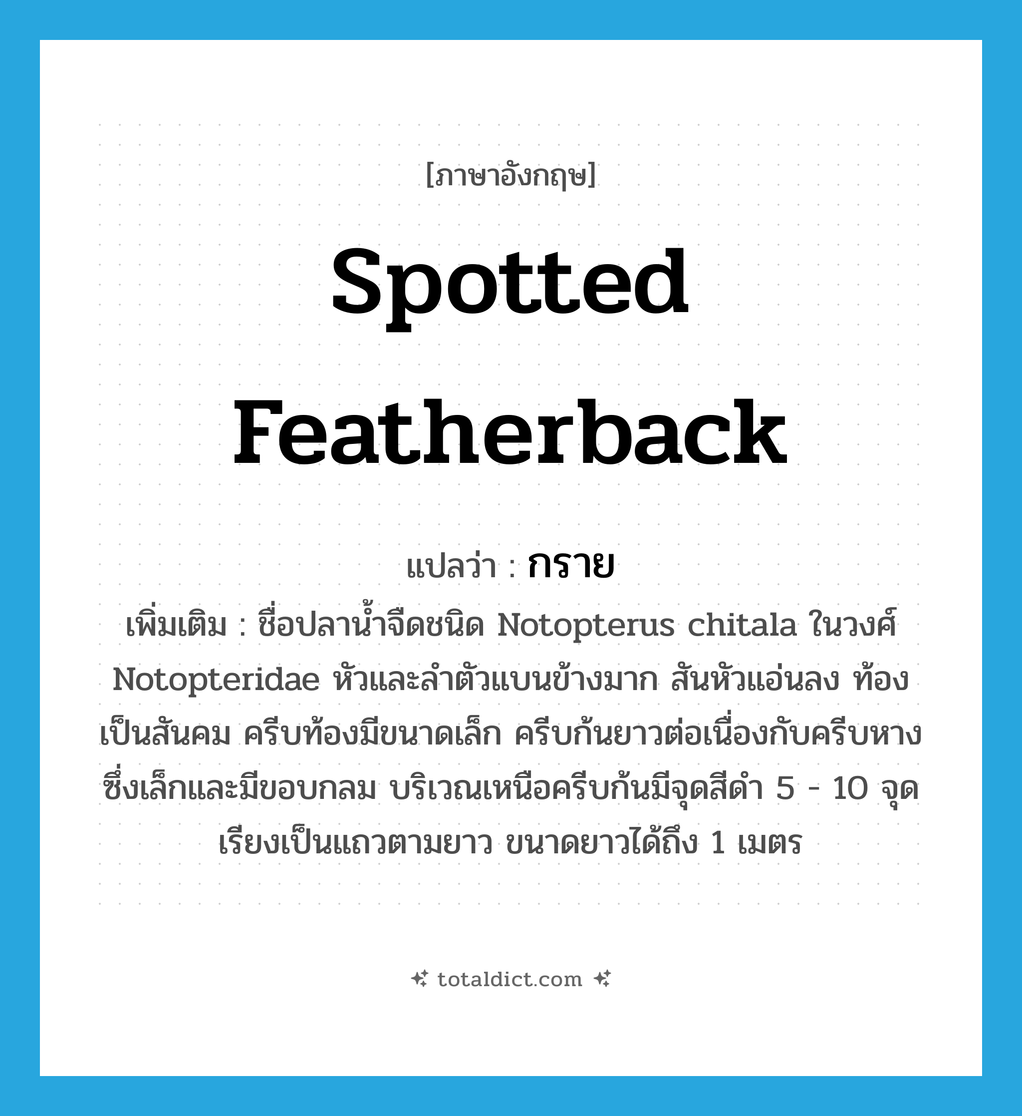 Spotted featherback แปลว่า?, คำศัพท์ภาษาอังกฤษ Spotted featherback แปลว่า กราย ประเภท N เพิ่มเติม ชื่อปลาน้ำจืดชนิด Notopterus chitala ในวงศ์ Notopteridae หัวและลำตัวแบนข้างมาก สันหัวแอ่นลง ท้องเป็นสันคม ครีบท้องมีขนาดเล็ก ครีบก้นยาวต่อเนื่องกับครีบหางซึ่งเล็กและมีขอบกลม บริเวณเหนือครีบก้นมีจุดสีดำ 5 - 10 จุดเรียงเป็นแถวตามยาว ขนาดยาวได้ถึง 1 เมตร หมวด N