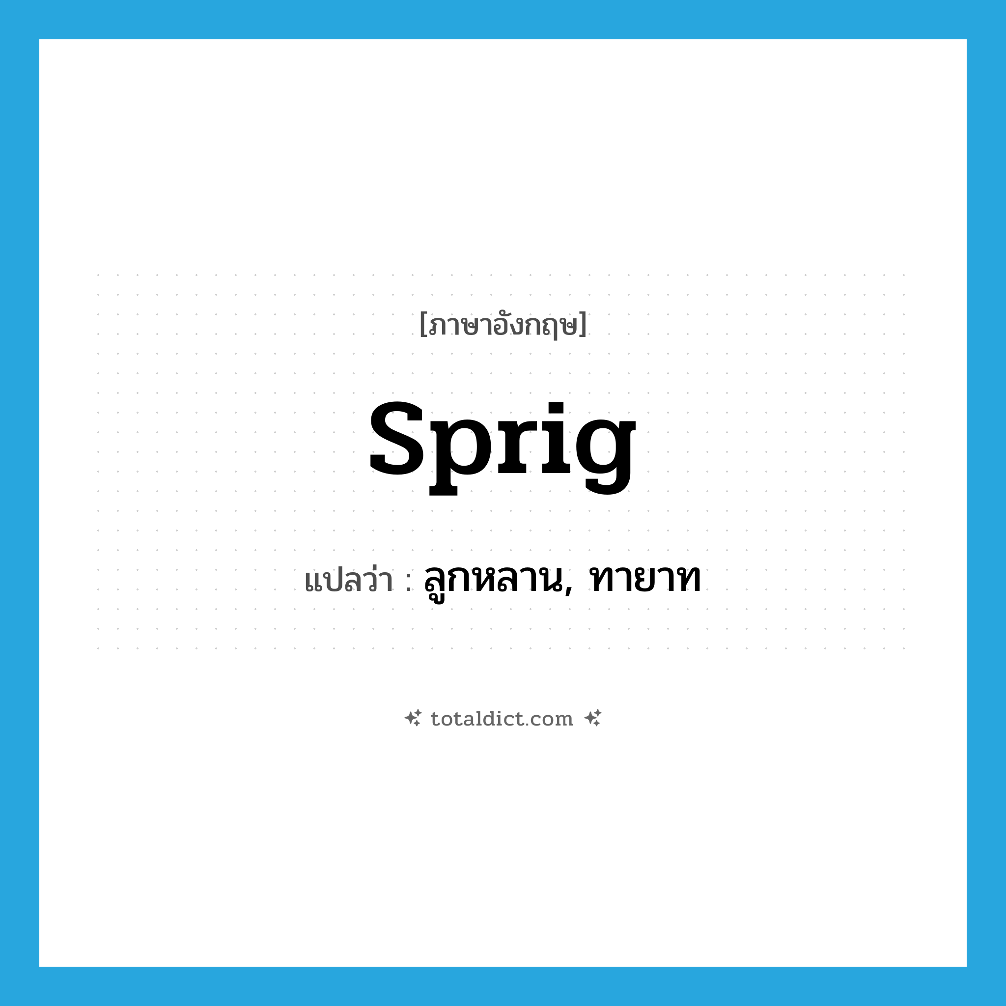 sprig แปลว่า?, คำศัพท์ภาษาอังกฤษ sprig แปลว่า ลูกหลาน, ทายาท ประเภท N หมวด N