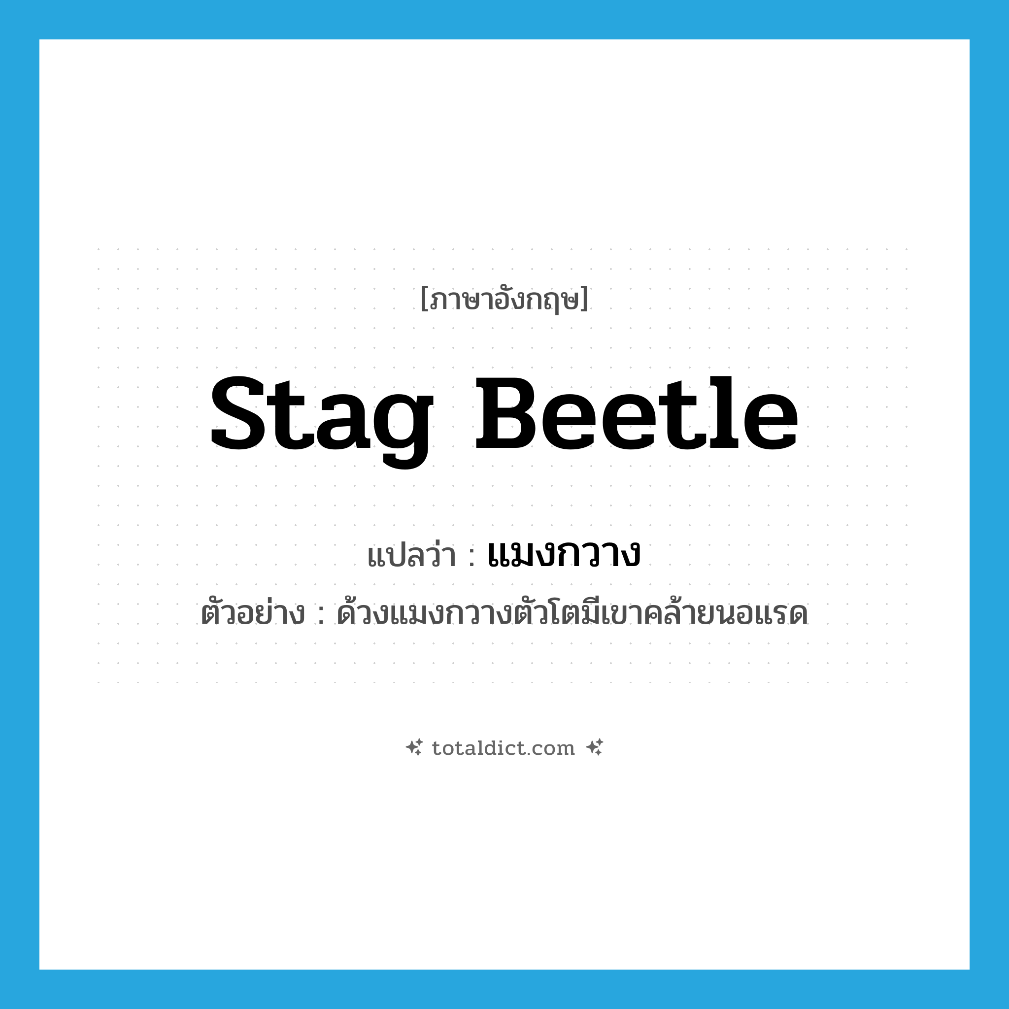 stag beetle แปลว่า?, คำศัพท์ภาษาอังกฤษ stag beetle แปลว่า แมงกวาง ประเภท N ตัวอย่าง ด้วงแมงกวางตัวโตมีเขาคล้ายนอแรด หมวด N