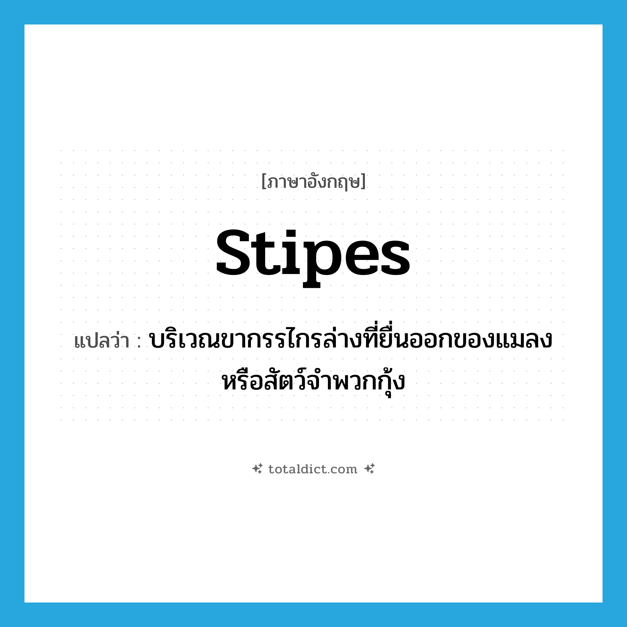 stipes แปลว่า?, คำศัพท์ภาษาอังกฤษ stipes แปลว่า บริเวณขากรรไกรล่างที่ยื่นออกของแมลงหรือสัตว์จำพวกกุ้ง ประเภท N หมวด N