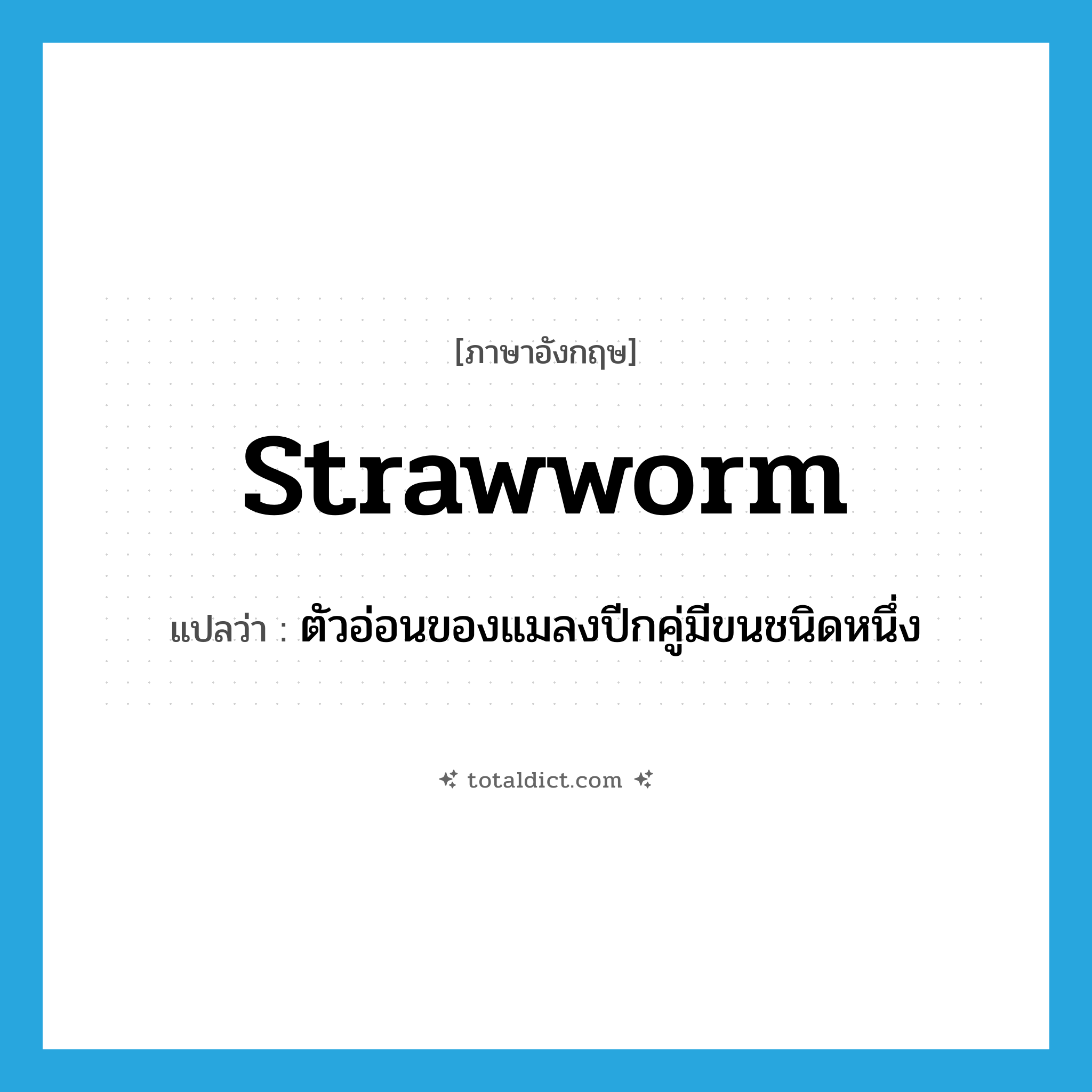strawworm แปลว่า?, คำศัพท์ภาษาอังกฤษ strawworm แปลว่า ตัวอ่อนของแมลงปีกคู่มีขนชนิดหนึ่ง ประเภท N หมวด N