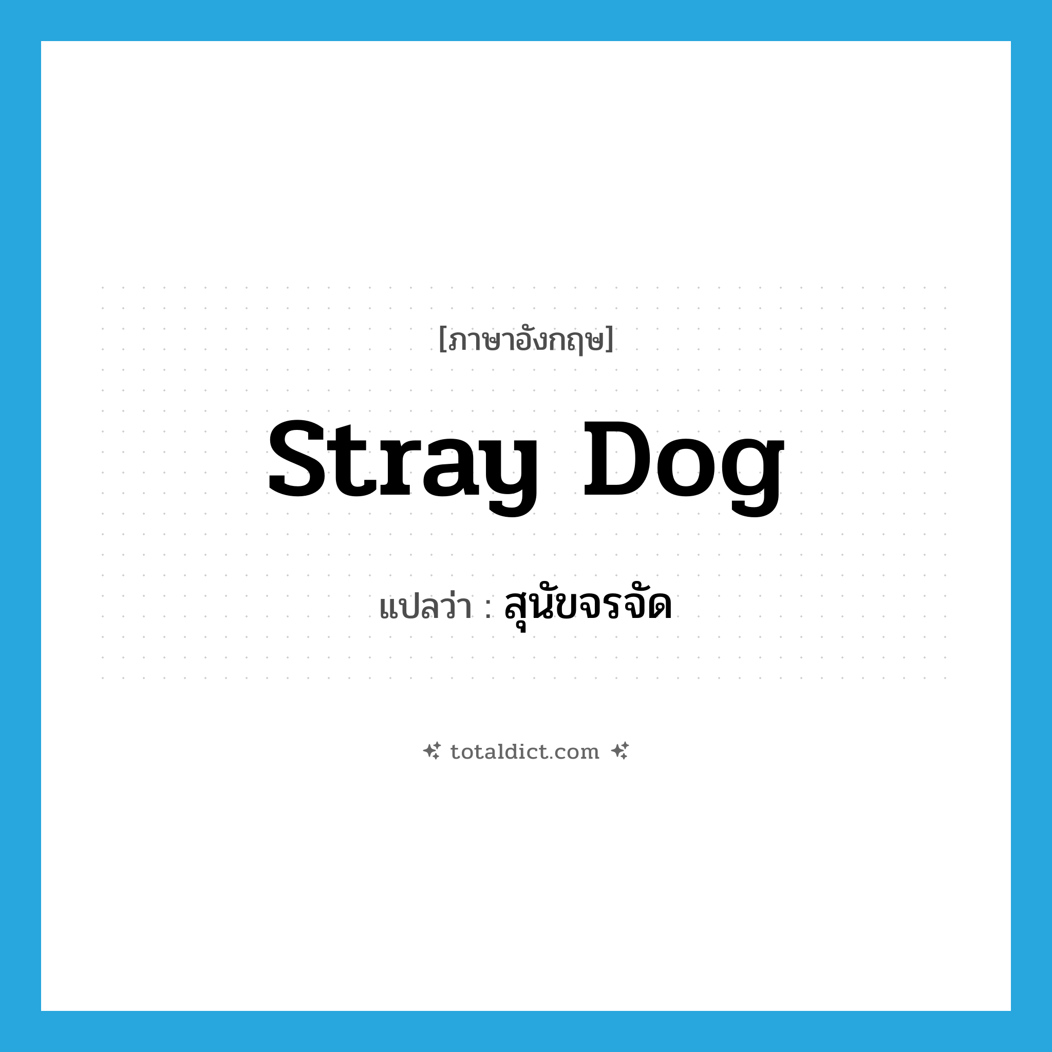 stray dog แปลว่า?, คำศัพท์ภาษาอังกฤษ stray dog แปลว่า สุนัขจรจัด ประเภท N หมวด N