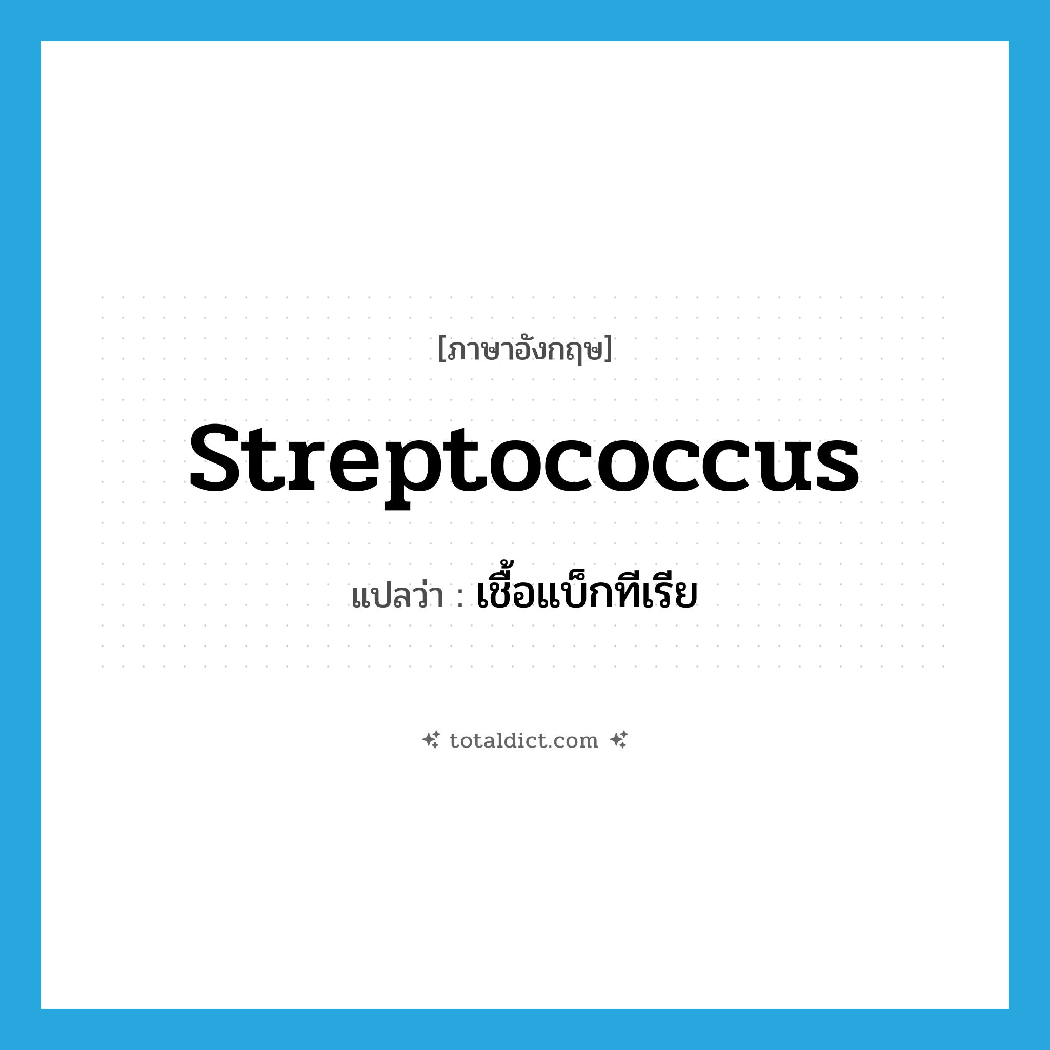 streptococcus แปลว่า?, คำศัพท์ภาษาอังกฤษ streptococcus แปลว่า เชื้อแบ็กทีเรีย ประเภท N หมวด N