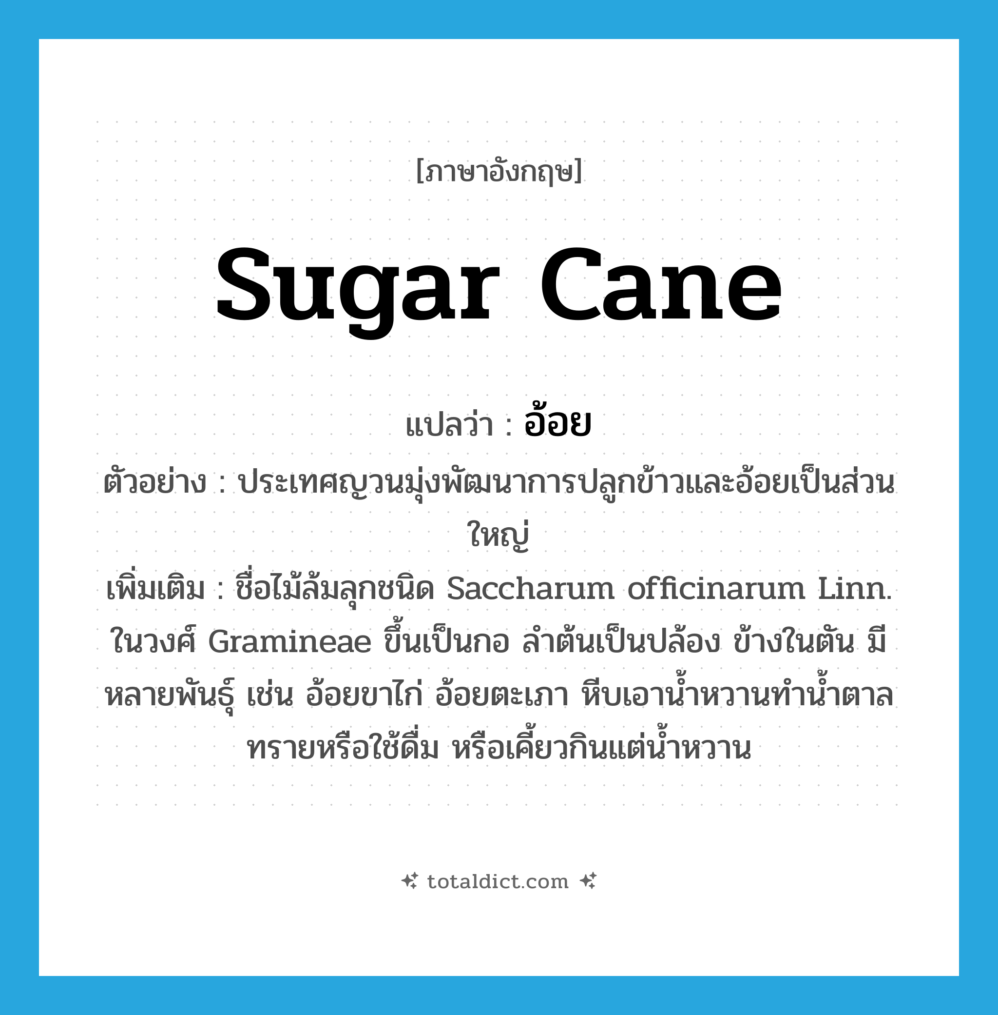 sugar cane แปลว่า?, คำศัพท์ภาษาอังกฤษ sugar cane แปลว่า อ้อย ประเภท N ตัวอย่าง ประเทศญวนมุ่งพัฒนาการปลูกข้าวและอ้อยเป็นส่วนใหญ่ เพิ่มเติม ชื่อไม้ล้มลุกชนิด Saccharum officinarum Linn. ในวงศ์ Gramineae ขึ้นเป็นกอ ลำต้นเป็นปล้อง ข้างในตัน มีหลายพันธุ์ เช่น อ้อยขาไก่ อ้อยตะเภา หีบเอาน้ำหวานทำน้ำตาลทรายหรือใช้ดื่ม หรือเคี้ยวกินแต่น้ำหวาน หมวด N