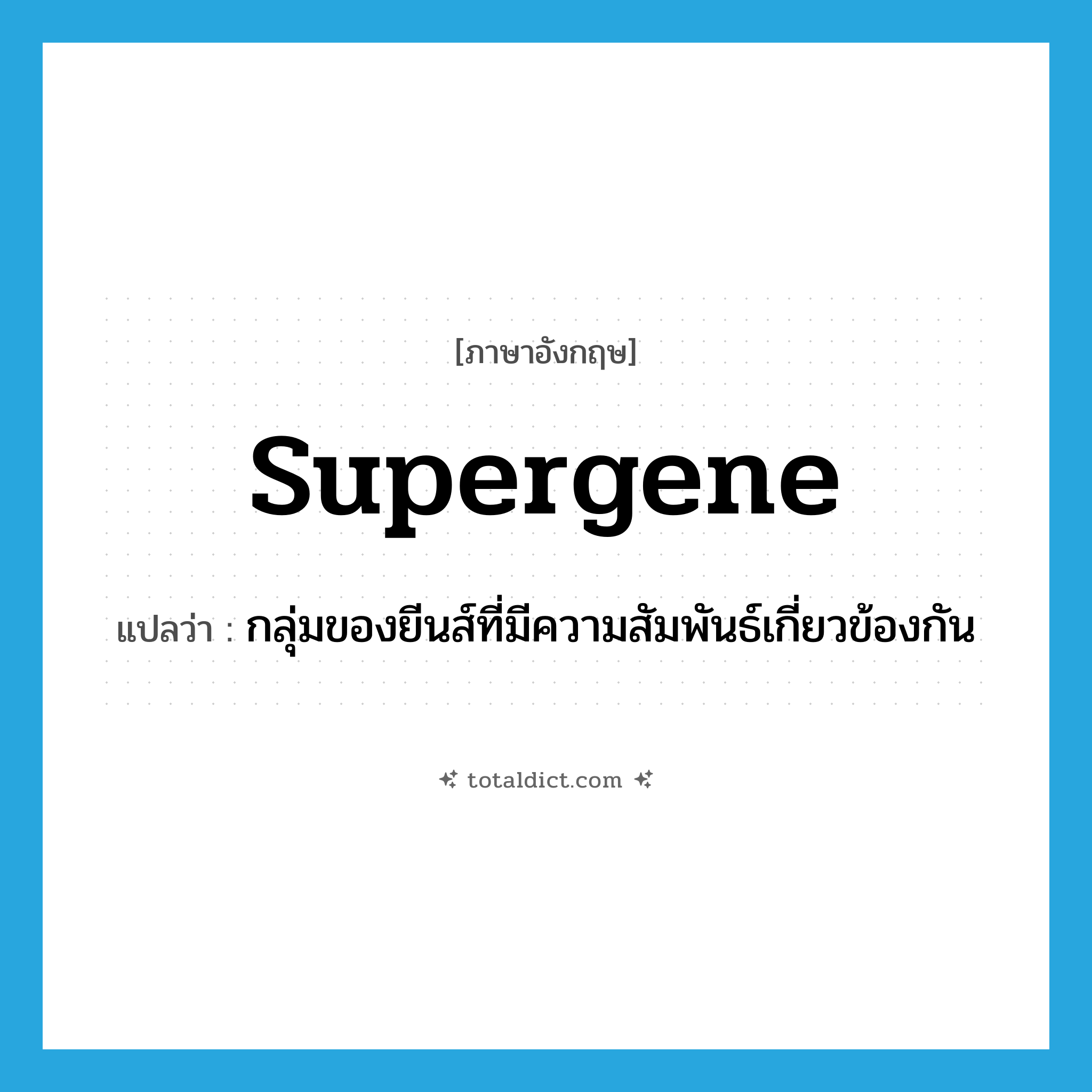 supergene แปลว่า?, คำศัพท์ภาษาอังกฤษ supergene แปลว่า กลุ่มของยีนส์ที่มีความสัมพันธ์เกี่ยวข้องกัน ประเภท N หมวด N