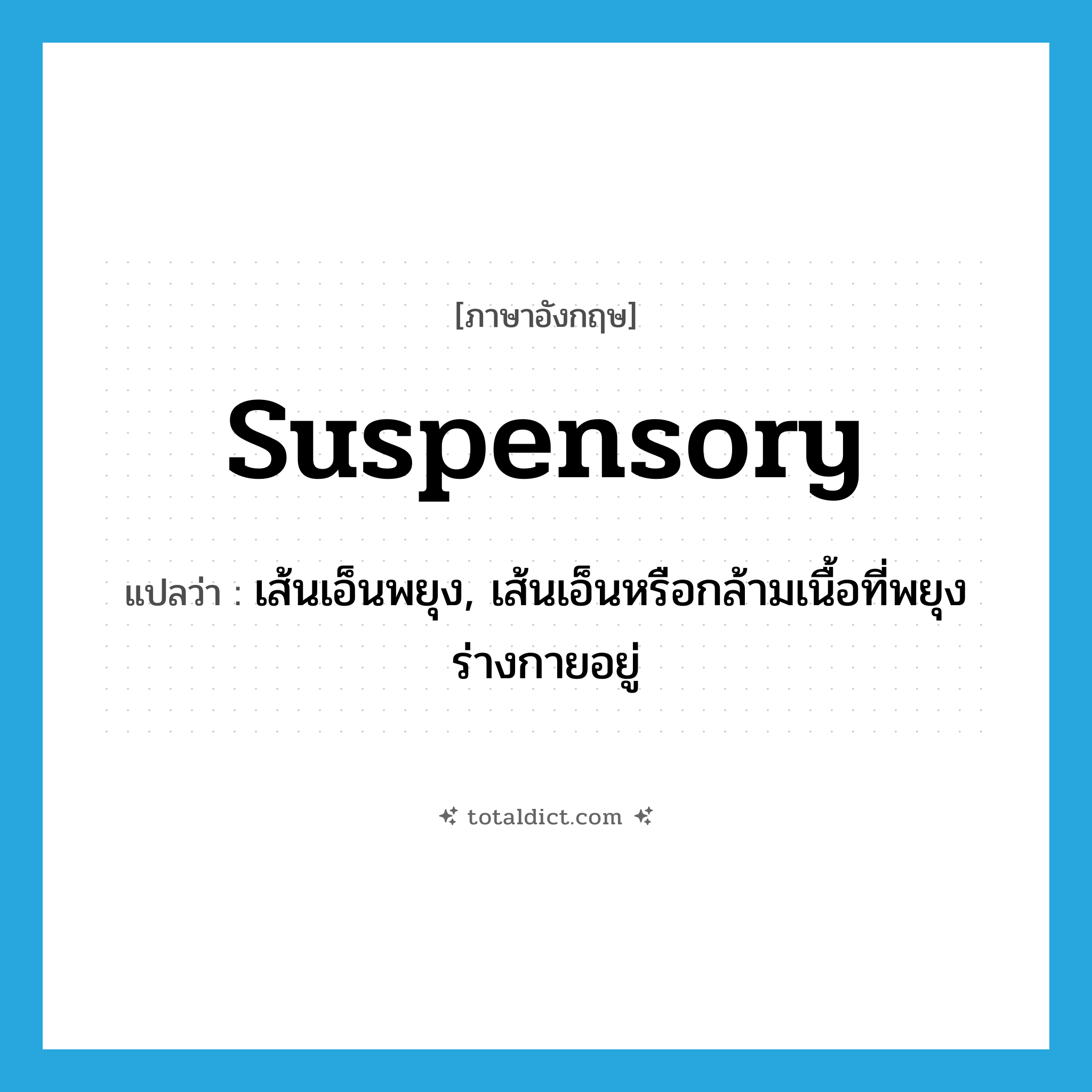 suspensory แปลว่า?, คำศัพท์ภาษาอังกฤษ suspensory แปลว่า เส้นเอ็นพยุง, เส้นเอ็นหรือกล้ามเนื้อที่พยุงร่างกายอยู่ ประเภท N หมวด N