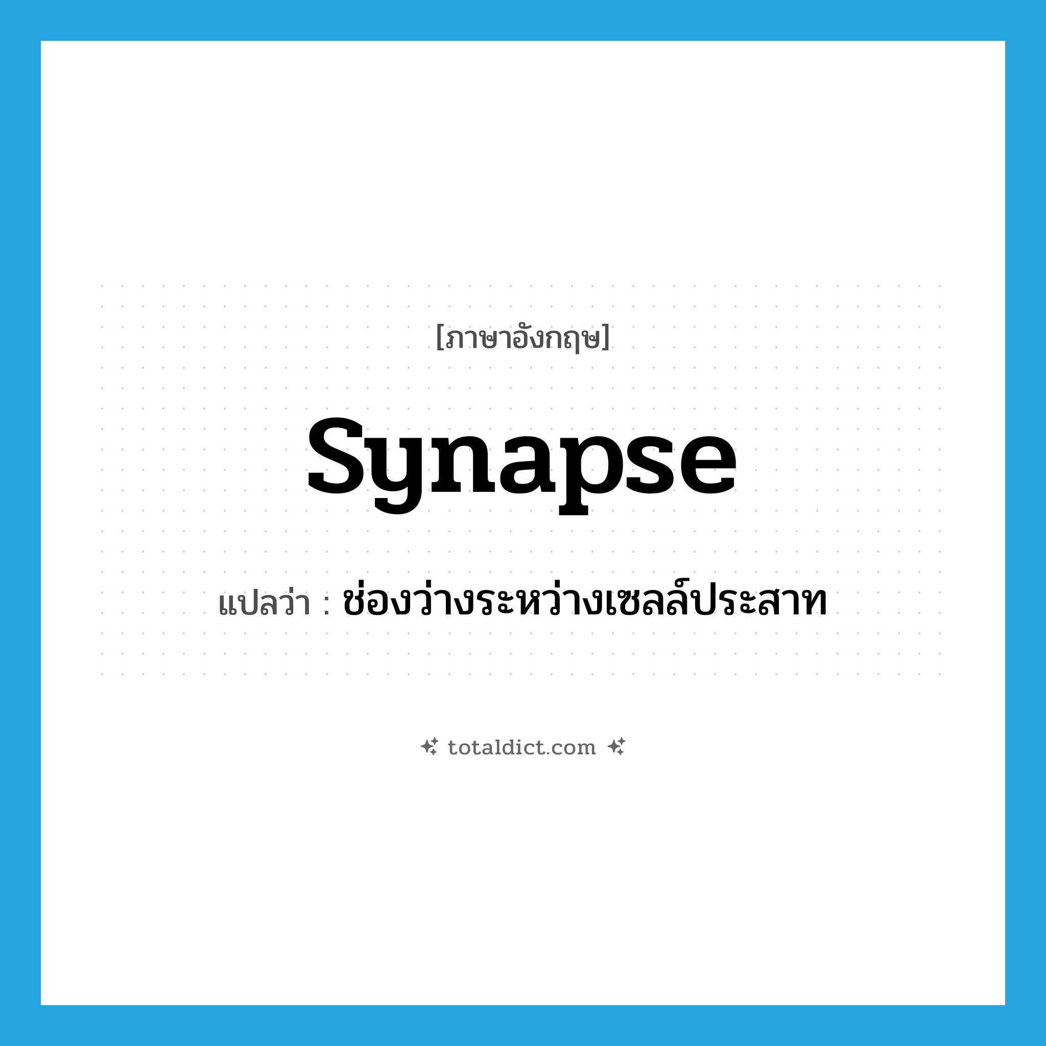 synapse แปลว่า?, คำศัพท์ภาษาอังกฤษ synapse แปลว่า ช่องว่างระหว่างเซลล์ประสาท ประเภท N หมวด N