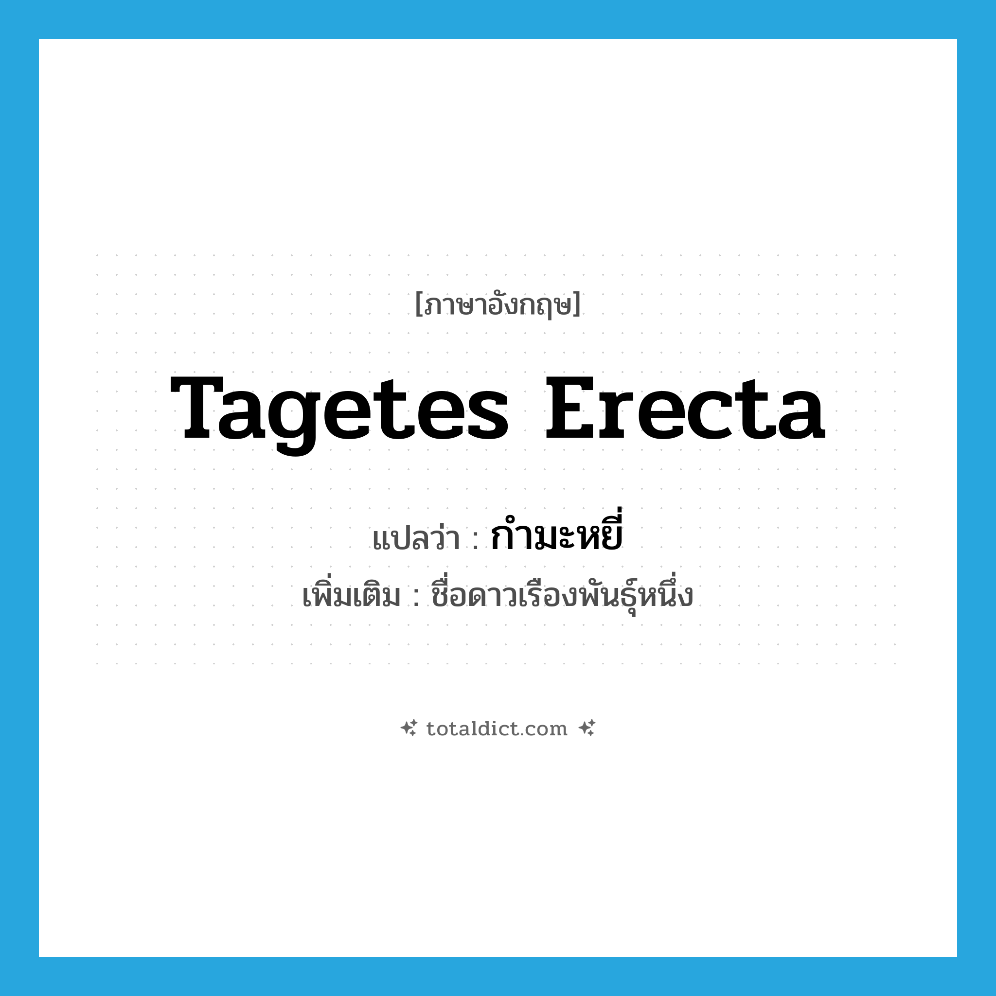 Tagetes erecta แปลว่า?, คำศัพท์ภาษาอังกฤษ Tagetes erecta แปลว่า กำมะหยี่ ประเภท N เพิ่มเติม ชื่อดาวเรืองพันธุ์หนึ่ง หมวด N