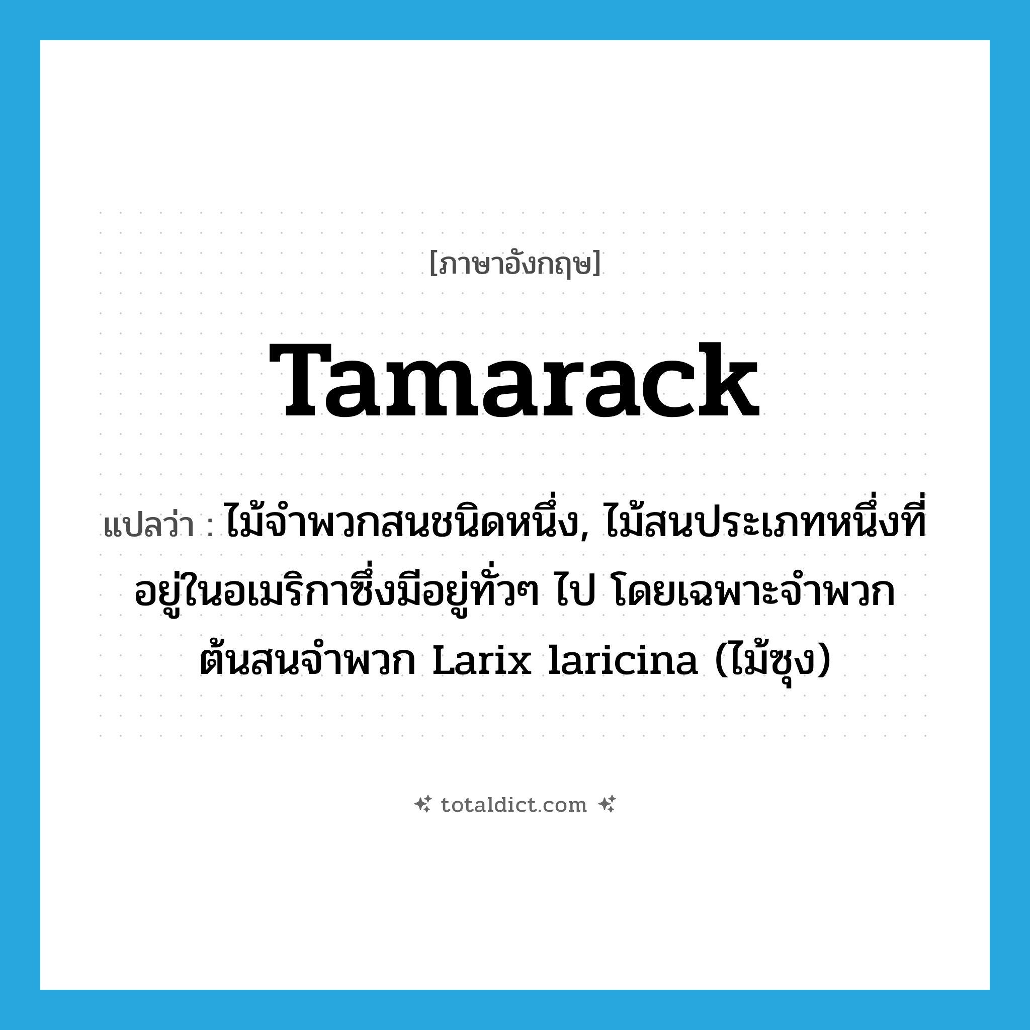 tamarack แปลว่า?, คำศัพท์ภาษาอังกฤษ tamarack แปลว่า ไม้จำพวกสนชนิดหนึ่ง, ไม้สนประเภทหนึ่งที่อยู่ในอเมริกาซึ่งมีอยู่ทั่วๆ ไป โดยเฉพาะจำพวกต้นสนจำพวก Larix laricina (ไม้ซุง) ประเภท N หมวด N