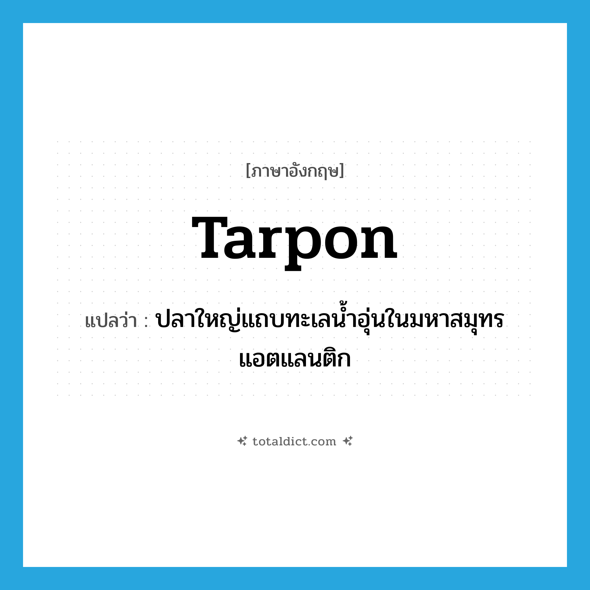 tarpon แปลว่า?, คำศัพท์ภาษาอังกฤษ tarpon แปลว่า ปลาใหญ่แถบทะเลน้ำอุ่นในมหาสมุทรแอตแลนติก ประเภท N หมวด N