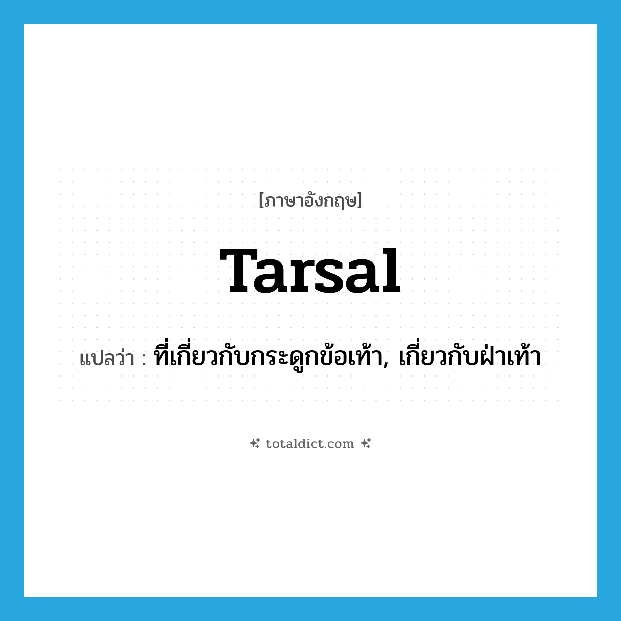 tarsal แปลว่า?, คำศัพท์ภาษาอังกฤษ tarsal แปลว่า ที่เกี่ยวกับกระดูกข้อเท้า, เกี่ยวกับฝ่าเท้า ประเภท ADJ หมวด ADJ