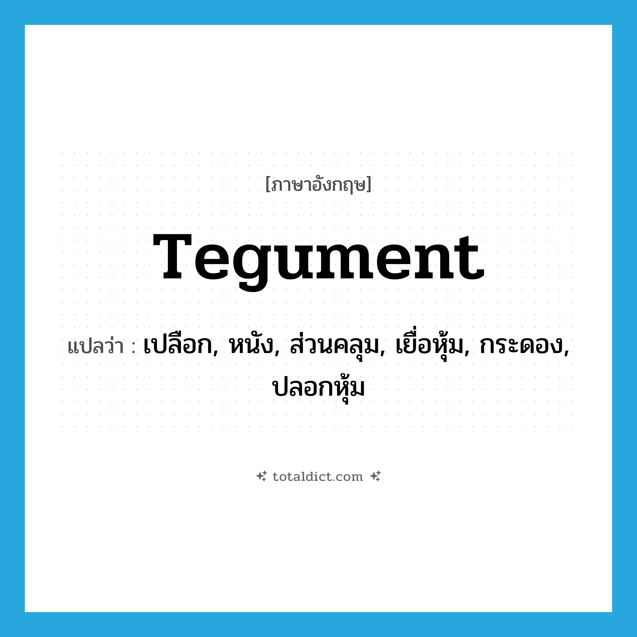 tegument แปลว่า?, คำศัพท์ภาษาอังกฤษ tegument แปลว่า เปลือก, หนัง, ส่วนคลุม, เยื่อหุ้ม, กระดอง, ปลอกหุ้ม ประเภท N หมวด N