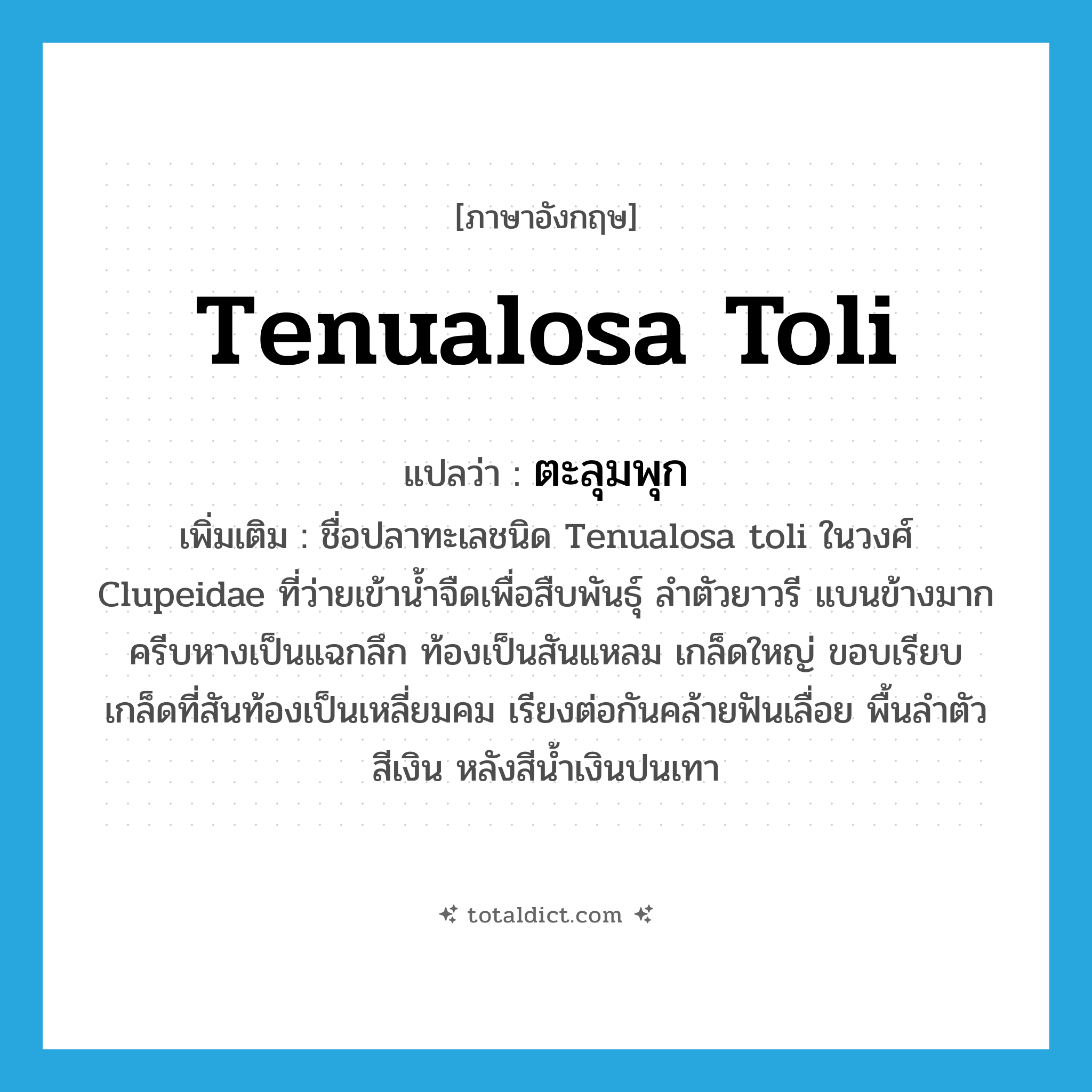 ตะลุมพุก ภาษาอังกฤษ?, คำศัพท์ภาษาอังกฤษ ตะลุมพุก แปลว่า Tenualosa toli ประเภท N เพิ่มเติม ชื่อปลาทะเลชนิด Tenualosa toli ในวงศ์ Clupeidae ที่ว่ายเข้าน้ำจืดเพื่อสืบพันธุ์ ลำตัวยาวรี แบนข้างมาก ครีบหางเป็นแฉกลึก ท้องเป็นสันแหลม เกล็ดใหญ่ ขอบเรียบ เกล็ดที่สันท้องเป็นเหลี่ยมคม เรียงต่อกันคล้ายฟันเลื่อย พื้นลำตัวสีเงิน หลังสีน้ำเงินปนเทา หมวด N