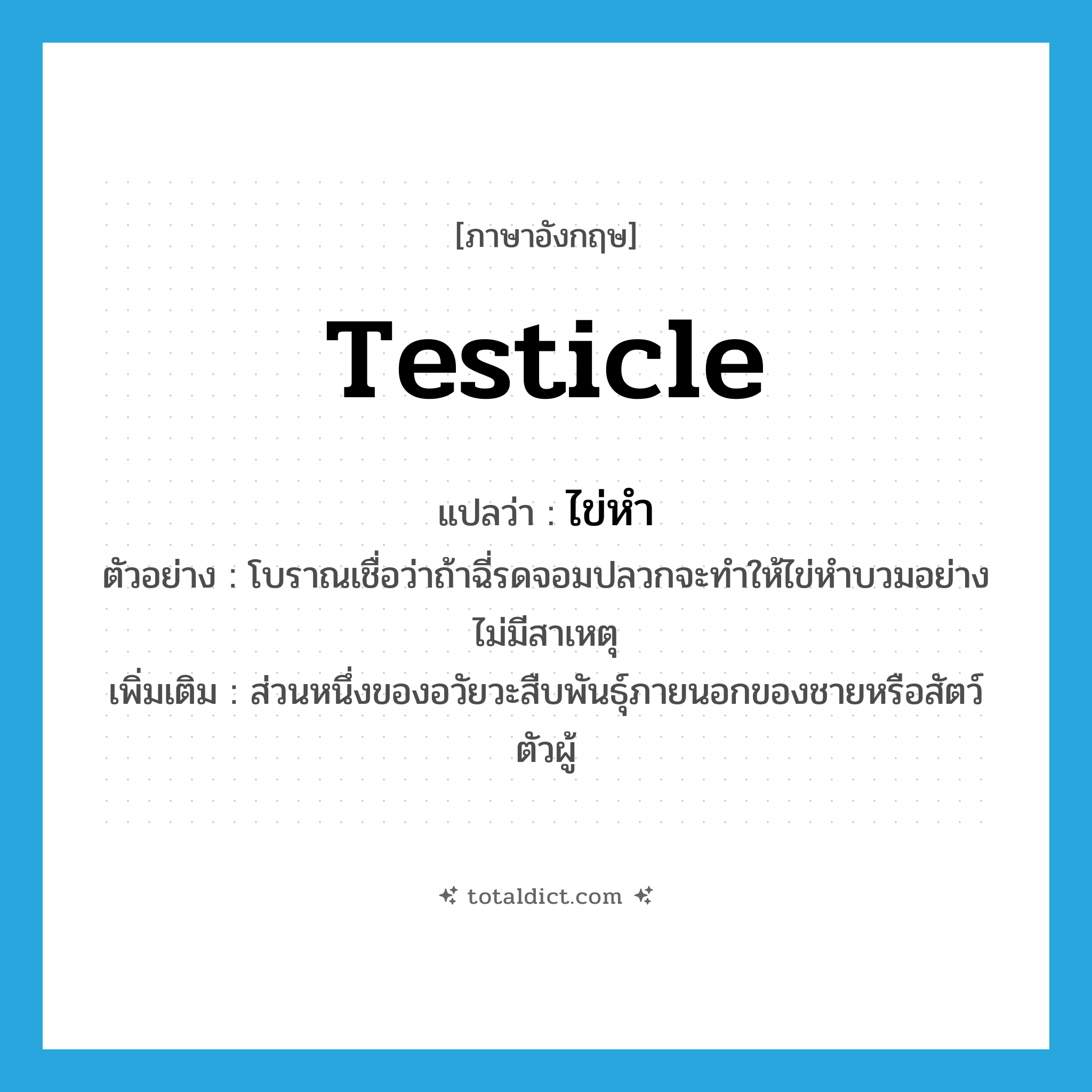 testicle แปลว่า?, คำศัพท์ภาษาอังกฤษ testicle แปลว่า ไข่หำ ประเภท N ตัวอย่าง โบราณเชื่อว่าถ้าฉี่รดจอมปลวกจะทำให้ไข่หำบวมอย่างไม่มีสาเหตุ เพิ่มเติม ส่วนหนึ่งของอวัยวะสืบพันธุ์ภายนอกของชายหรือสัตว์ตัวผู้ หมวด N