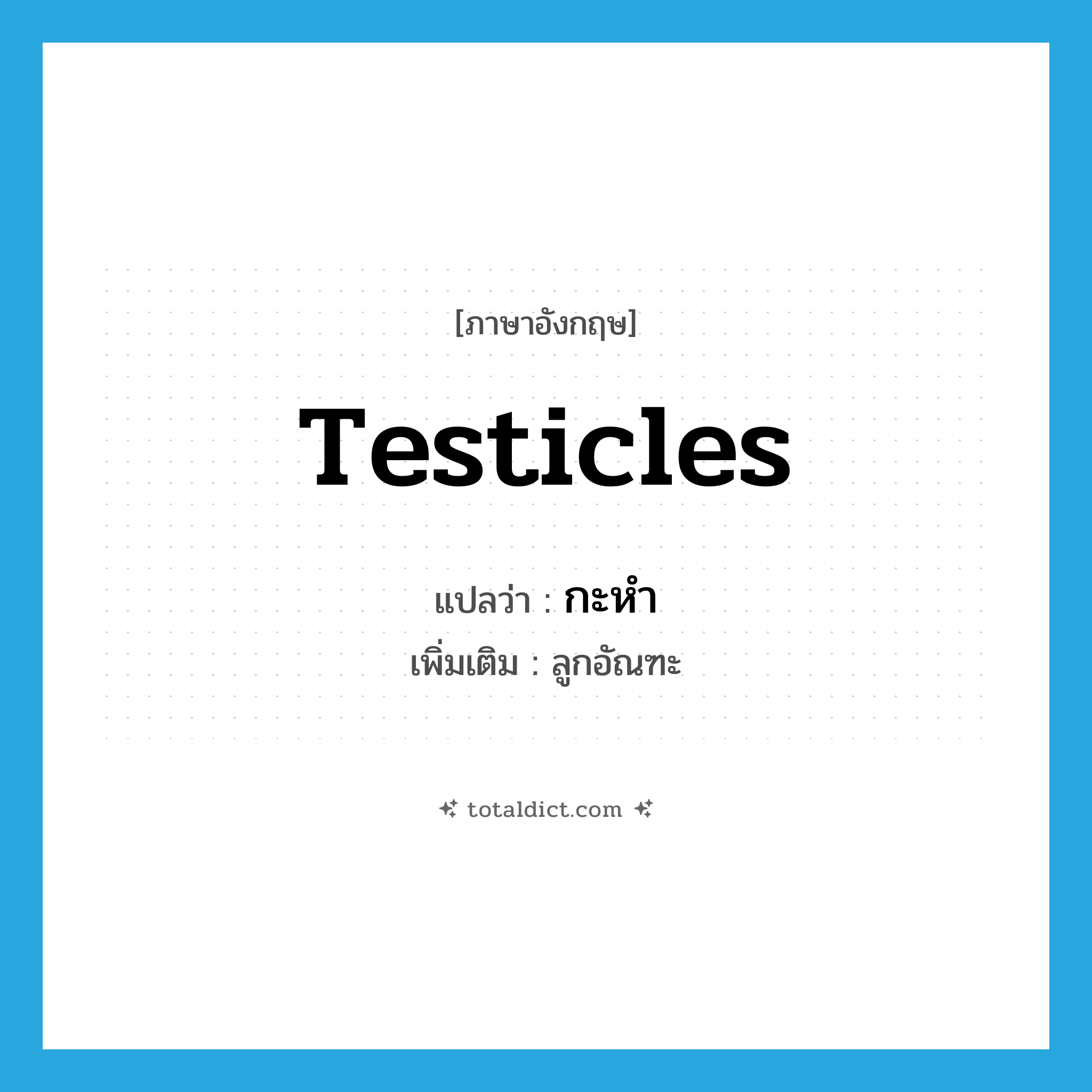 testicles แปลว่า?, คำศัพท์ภาษาอังกฤษ testicles แปลว่า กะหำ ประเภท N เพิ่มเติม ลูกอัณฑะ หมวด N