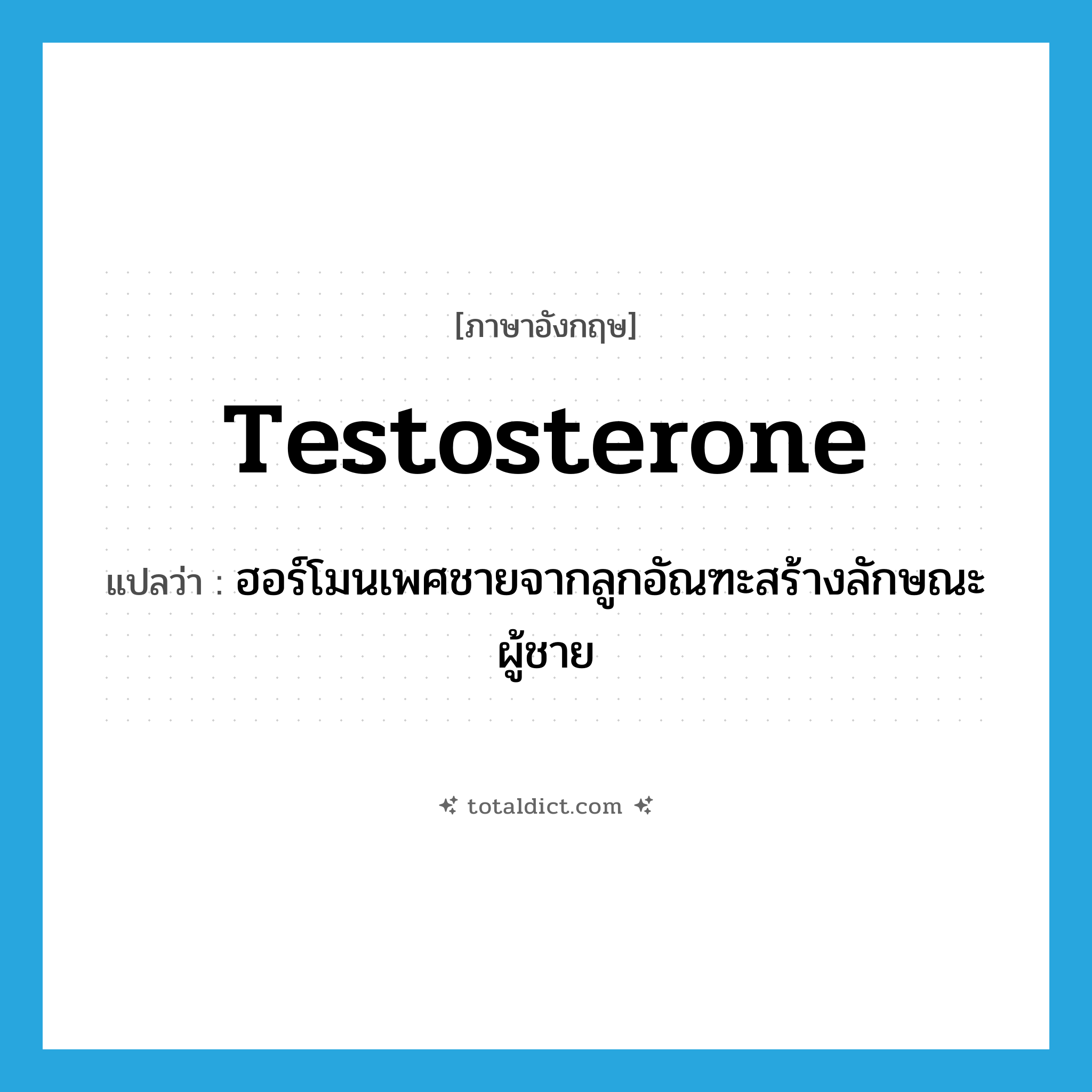 testosterone แปลว่า?, คำศัพท์ภาษาอังกฤษ testosterone แปลว่า ฮอร์โมนเพศชายจากลูกอัณฑะสร้างลักษณะผู้ชาย ประเภท N หมวด N