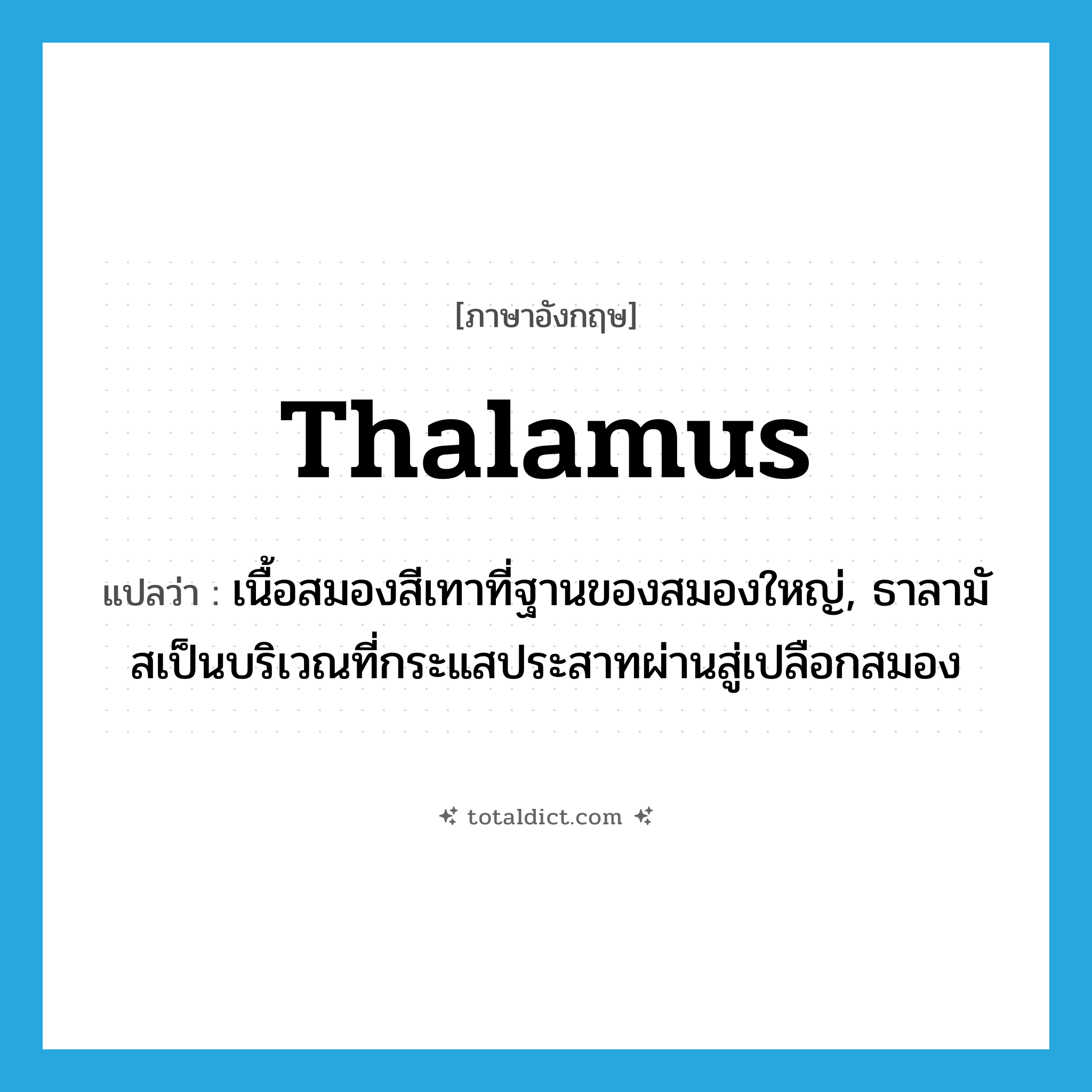 thalamus แปลว่า?, คำศัพท์ภาษาอังกฤษ thalamus แปลว่า เนื้อสมองสีเทาที่ฐานของสมองใหญ่, ธาลามัสเป็นบริเวณที่กระแสประสาทผ่านสู่เปลือกสมอง ประเภท N หมวด N