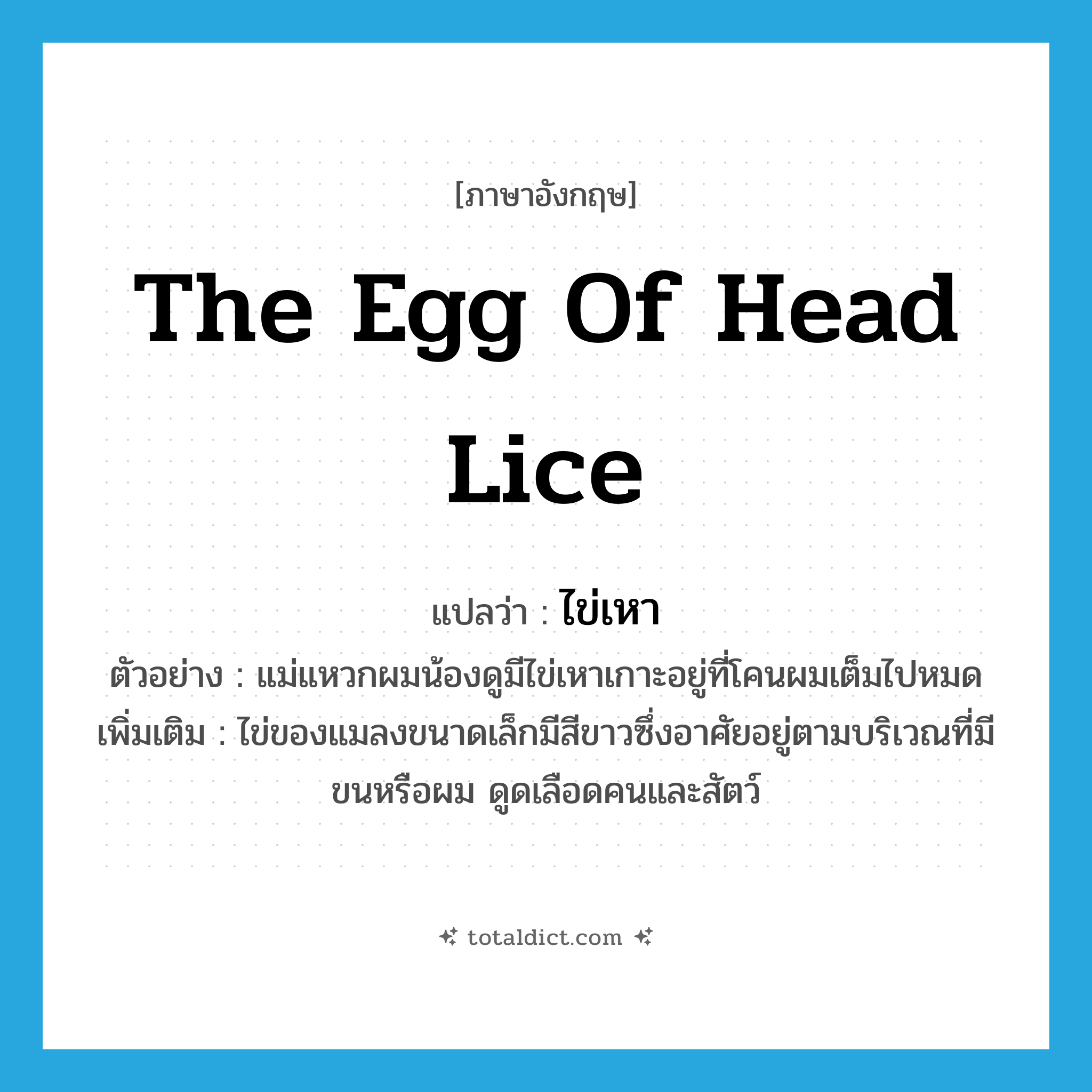 the egg of head lice แปลว่า?, คำศัพท์ภาษาอังกฤษ the egg of head lice แปลว่า ไข่เหา ประเภท N ตัวอย่าง แม่แหวกผมน้องดูมีไข่เหาเกาะอยู่ที่โคนผมเต็มไปหมด เพิ่มเติม ไข่ของแมลงขนาดเล็กมีสีขาวซึ่งอาศัยอยู่ตามบริเวณที่มีขนหรือผม ดูดเลือดคนและสัตว์ หมวด N