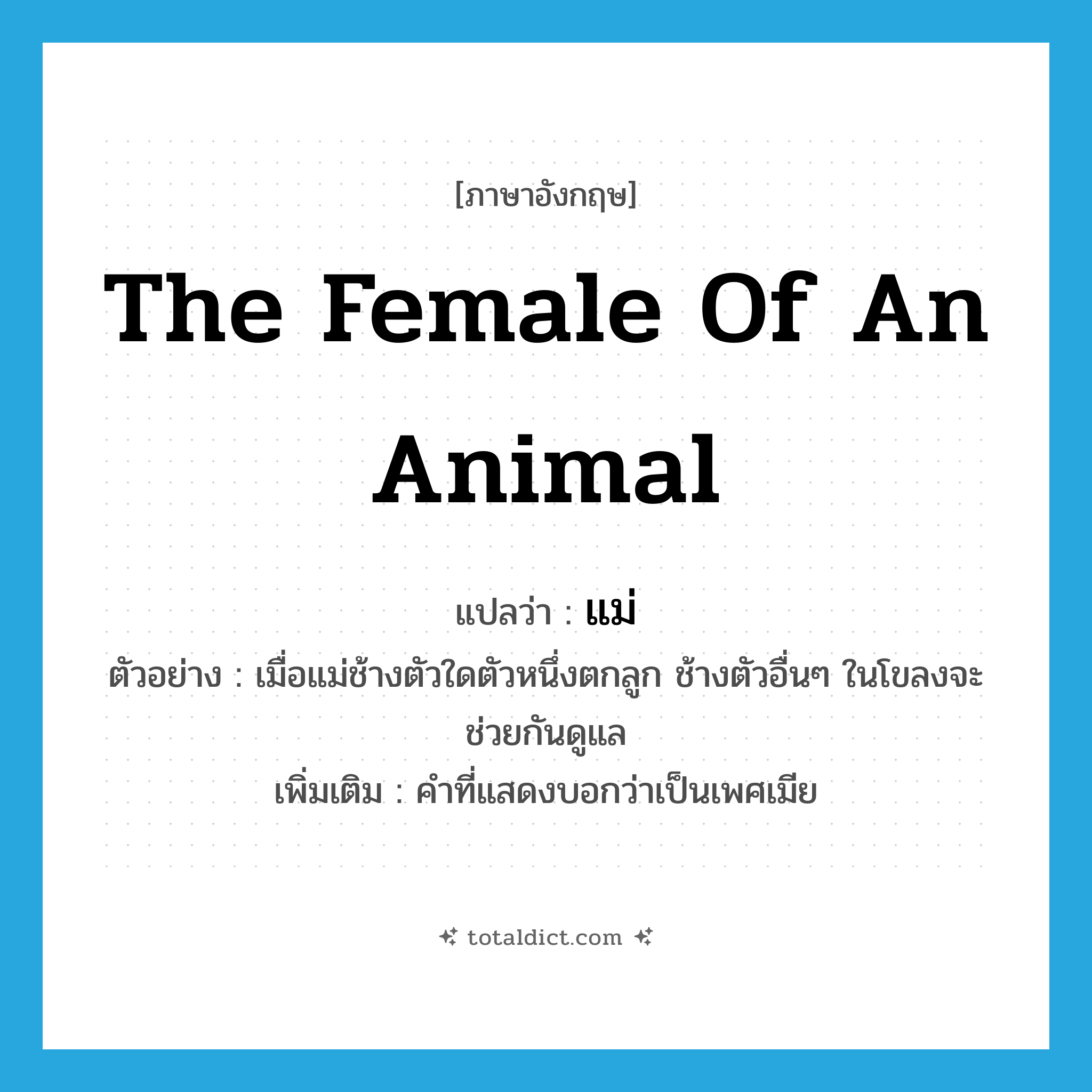 แม่ ภาษาอังกฤษ?, คำศัพท์ภาษาอังกฤษ แม่ แปลว่า the female of an animal ประเภท N ตัวอย่าง เมื่อแม่ช้างตัวใดตัวหนึ่งตกลูก ช้างตัวอื่นๆ ในโขลงจะช่วยกันดูแล เพิ่มเติม คำที่แสดงบอกว่าเป็นเพศเมีย หมวด N