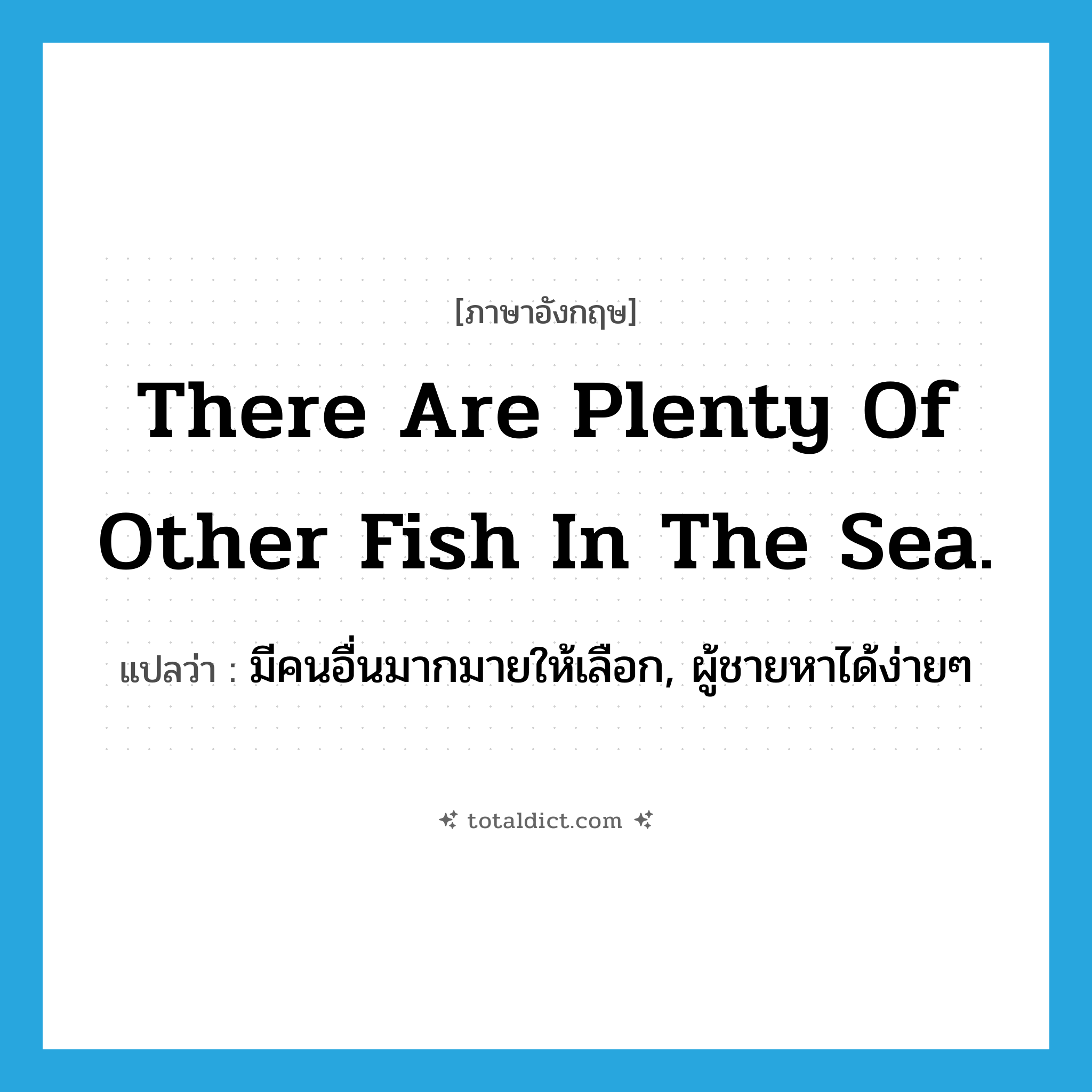 There are plenty of other fish in the sea. แปลว่า?, คำศัพท์ภาษาอังกฤษ There are plenty of other fish in the sea. แปลว่า มีคนอื่นมากมายให้เลือก, ผู้ชายหาได้ง่ายๆ ประเภท IDM หมวด IDM
