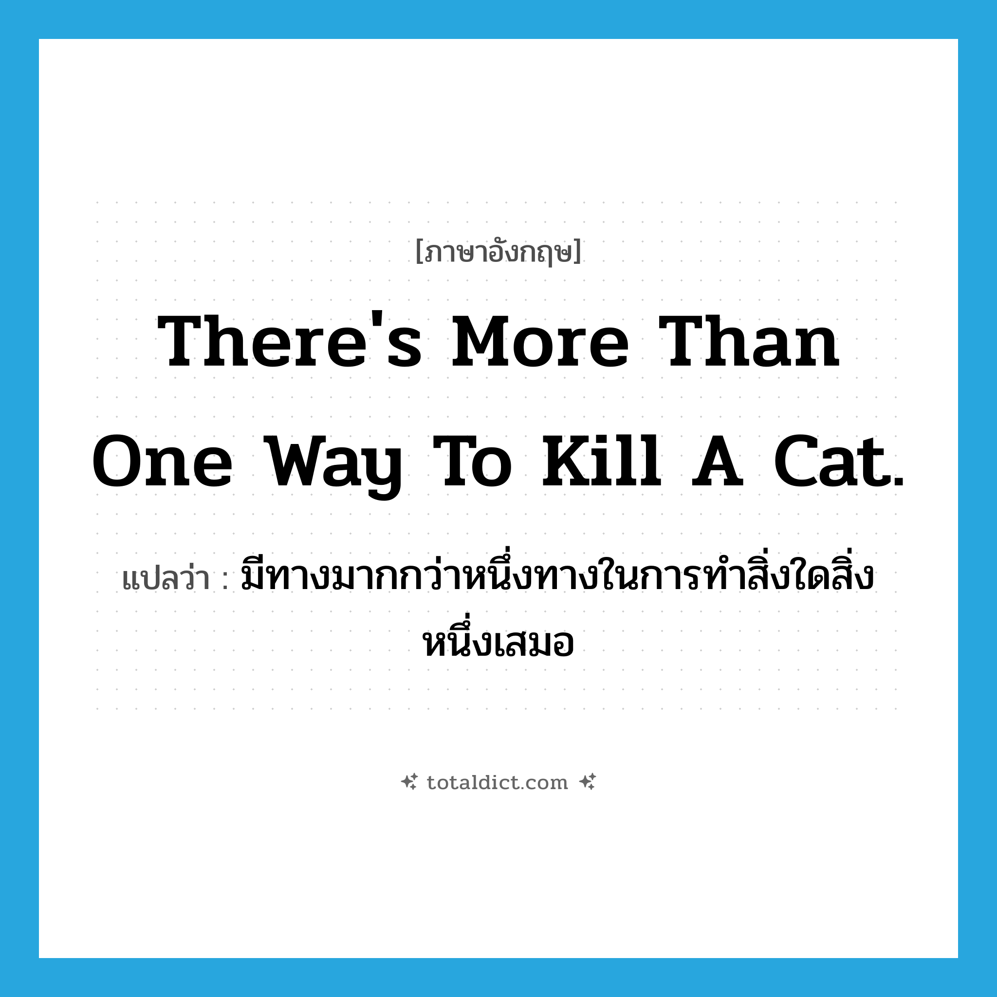 There&#39;s more than one way to kill a cat. แปลว่า?, คำศัพท์ภาษาอังกฤษ There&#39;s more than one way to kill a cat. แปลว่า มีทางมากกว่าหนึ่งทางในการทำสิ่งใดสิ่งหนึ่งเสมอ ประเภท IDM หมวด IDM