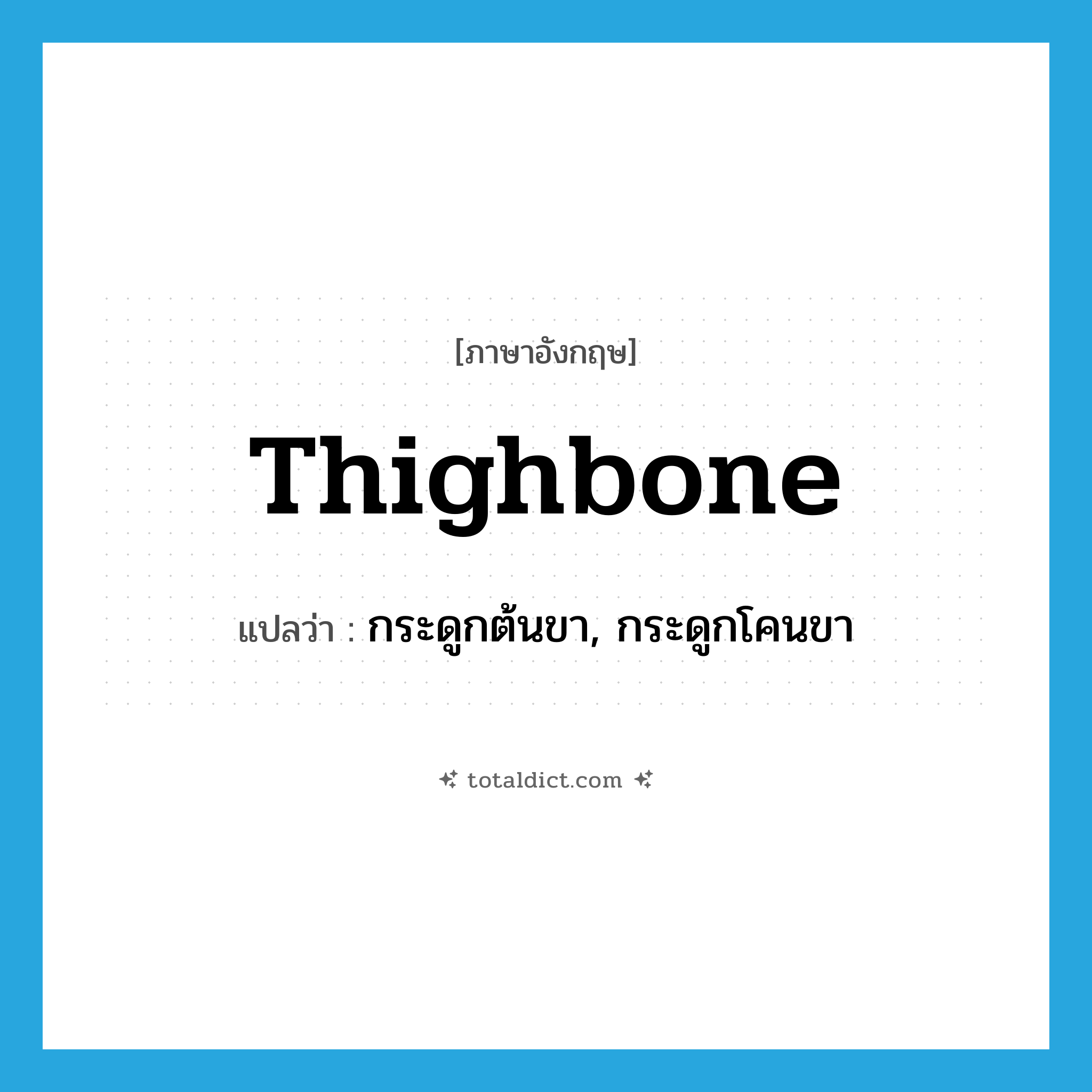 thighbone แปลว่า?, คำศัพท์ภาษาอังกฤษ thighbone แปลว่า กระดูกต้นขา, กระดูกโคนขา ประเภท N หมวด N