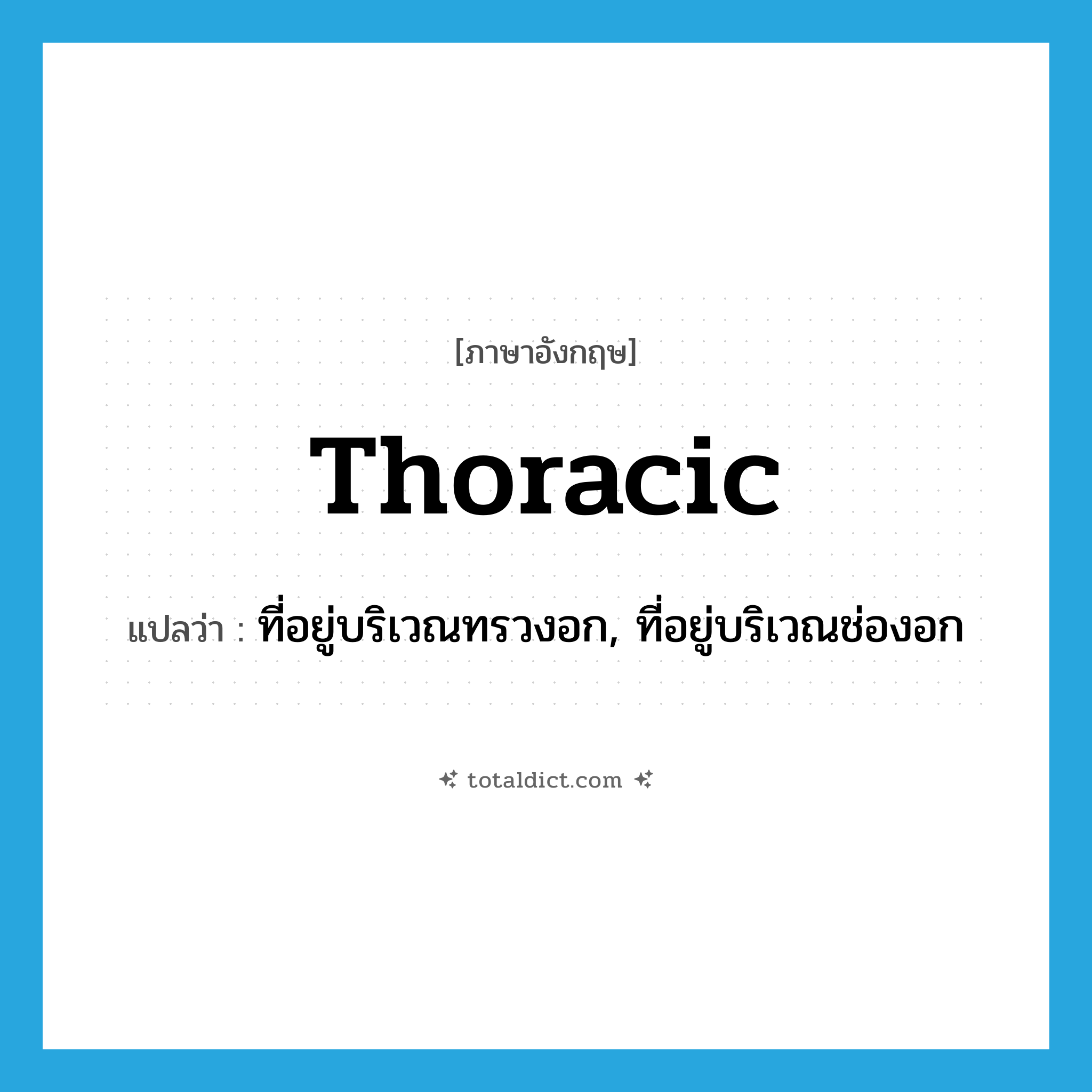 thoracic แปลว่า?, คำศัพท์ภาษาอังกฤษ thoracic แปลว่า ที่อยู่บริเวณทรวงอก, ที่อยู่บริเวณช่องอก ประเภท ADJ หมวด ADJ