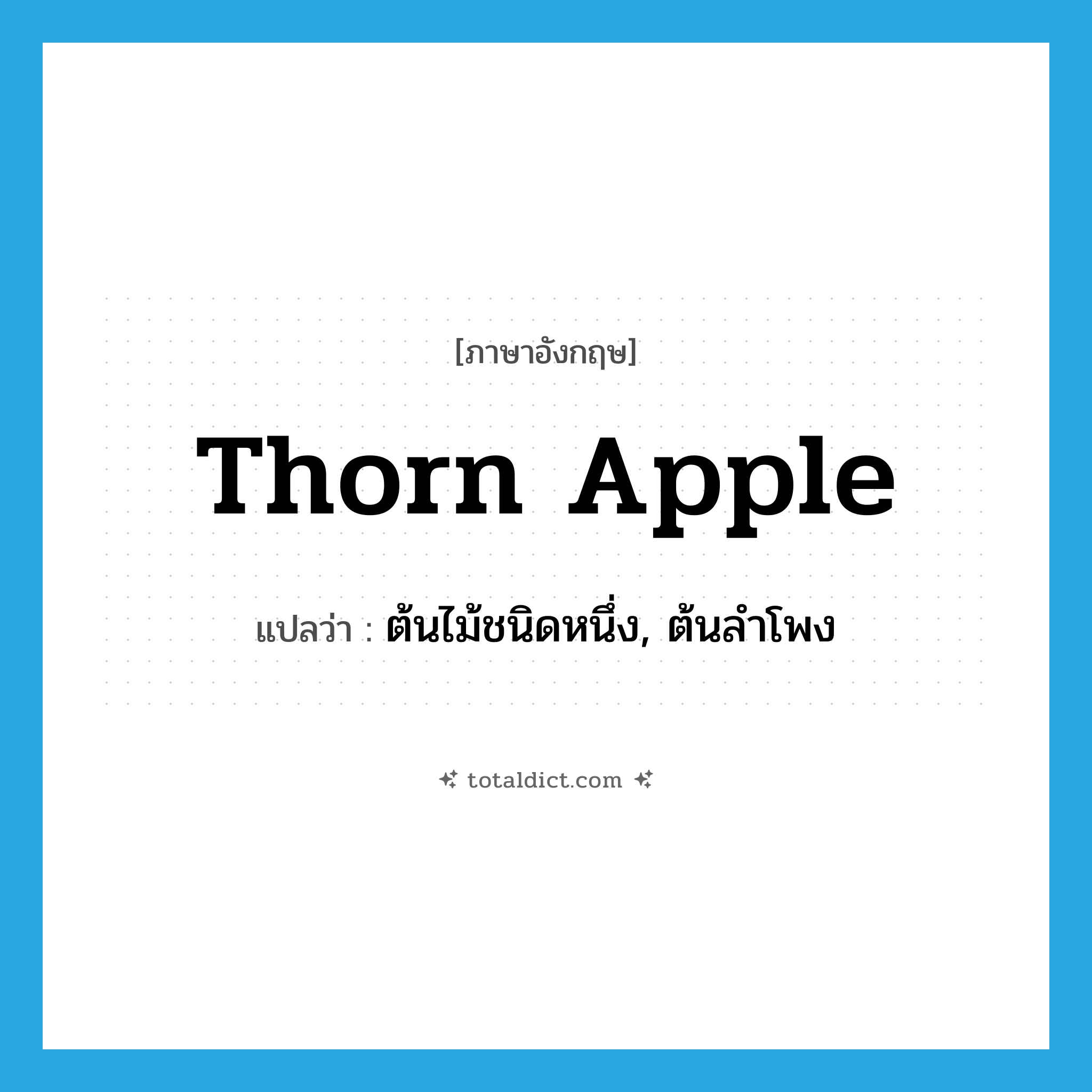 thorn apple แปลว่า?, คำศัพท์ภาษาอังกฤษ thorn apple แปลว่า ต้นไม้ชนิดหนึ่ง, ต้นลำโพง ประเภท N หมวด N